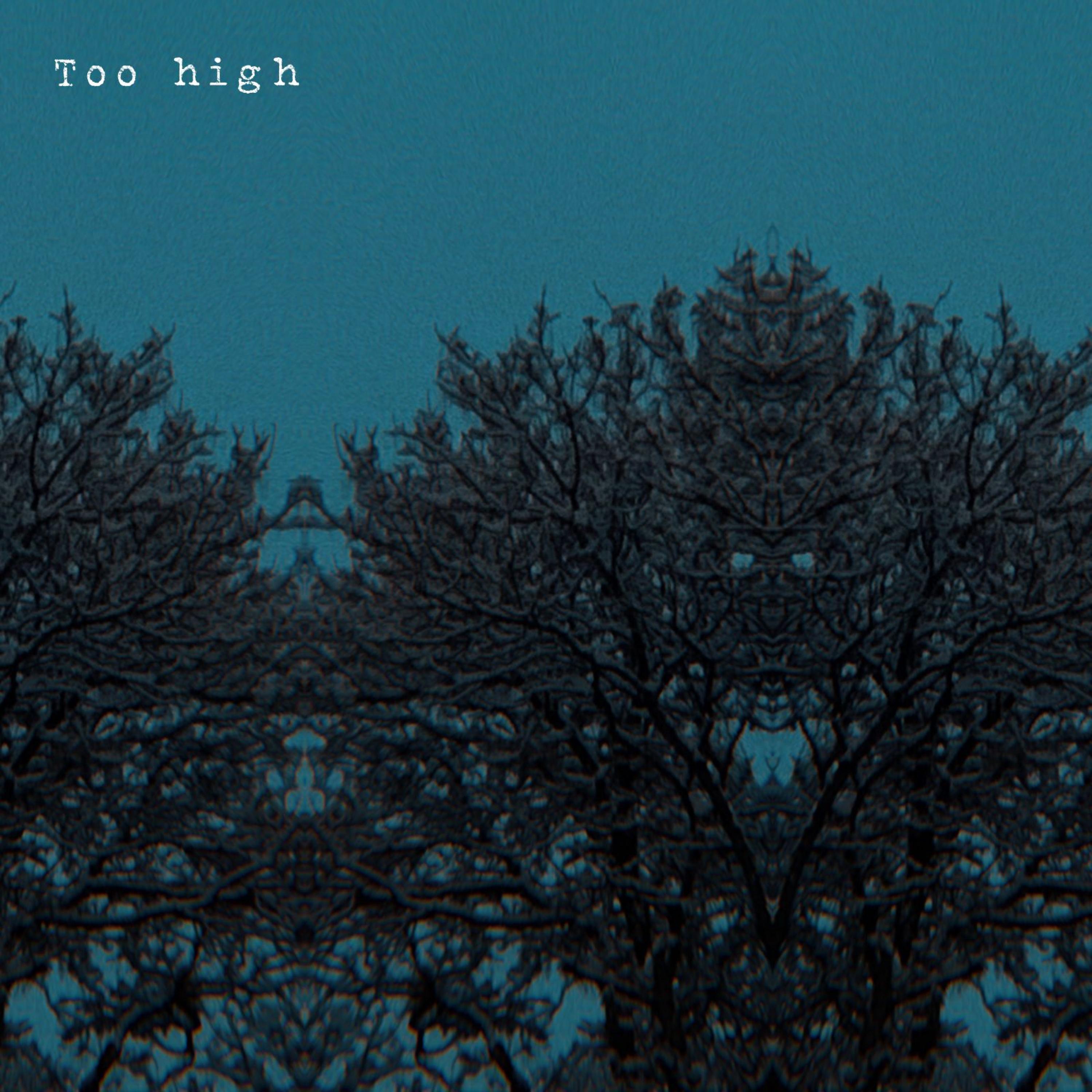 Too High artwork