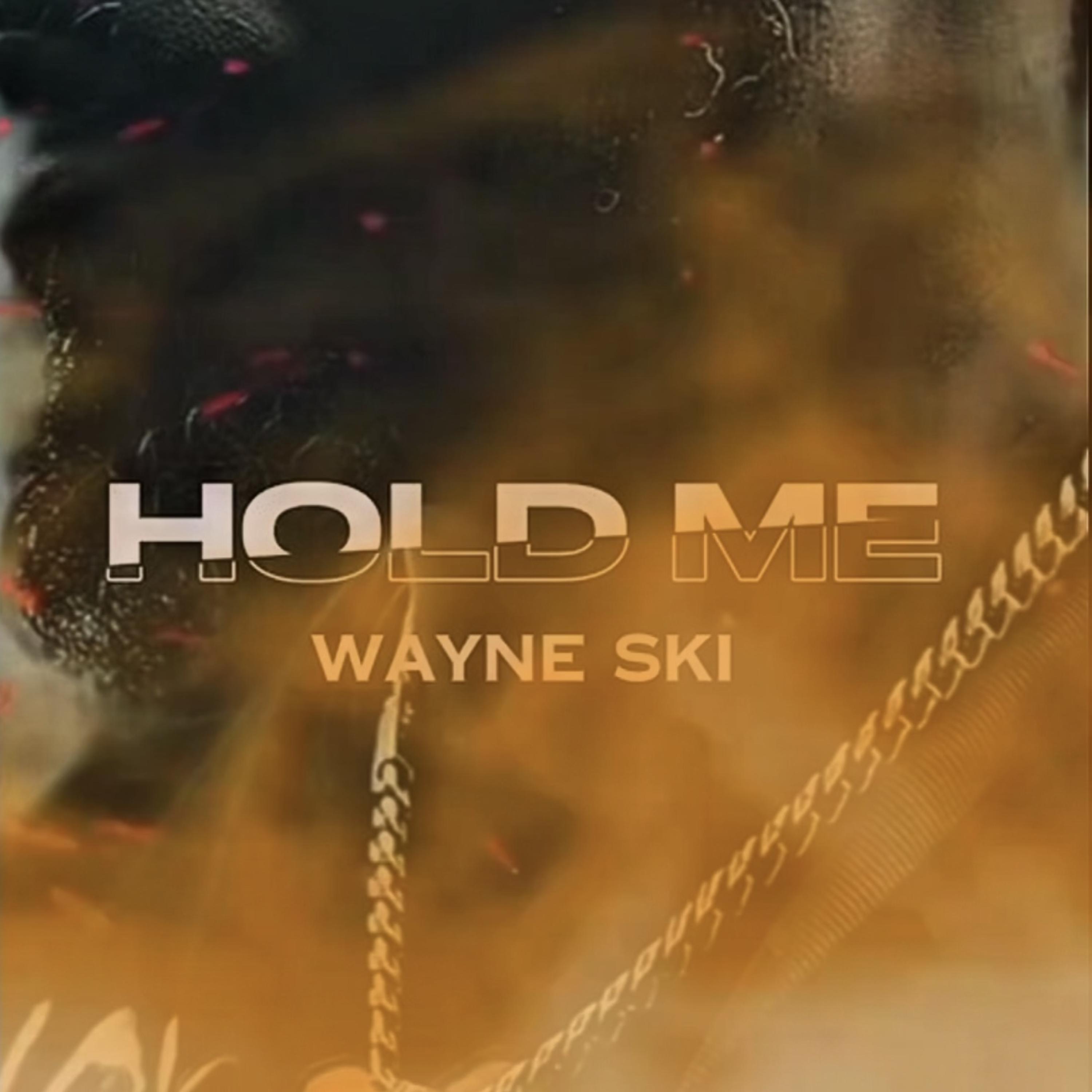 Hold Me by Wayne SKI cover art