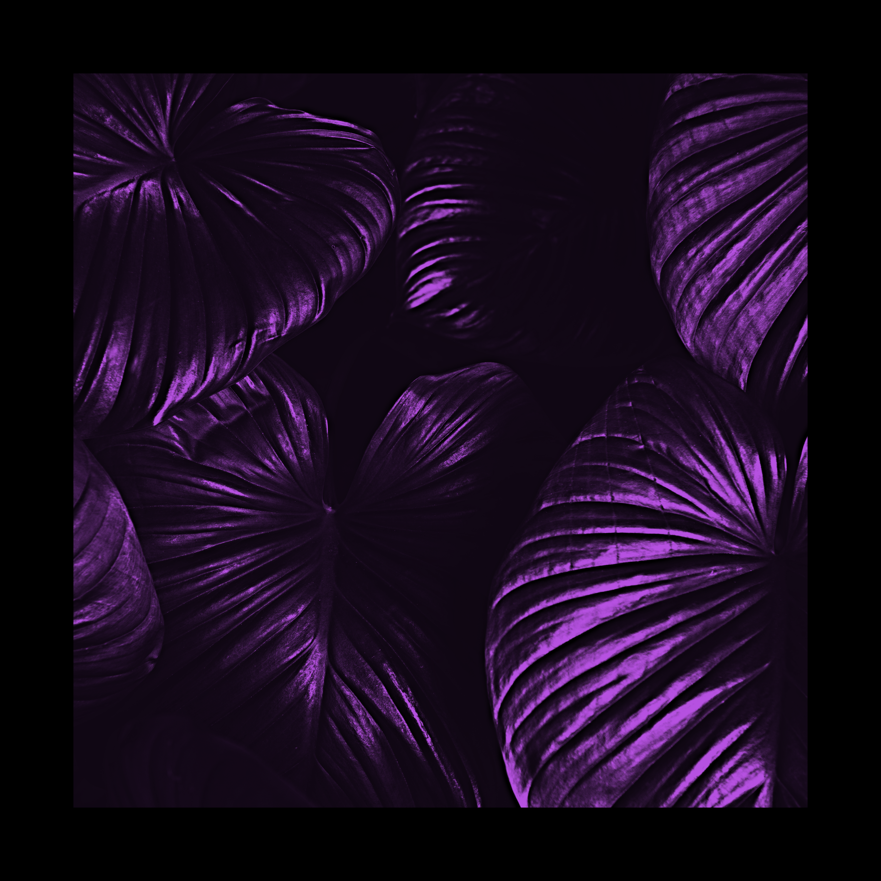 Man And Zy artwork