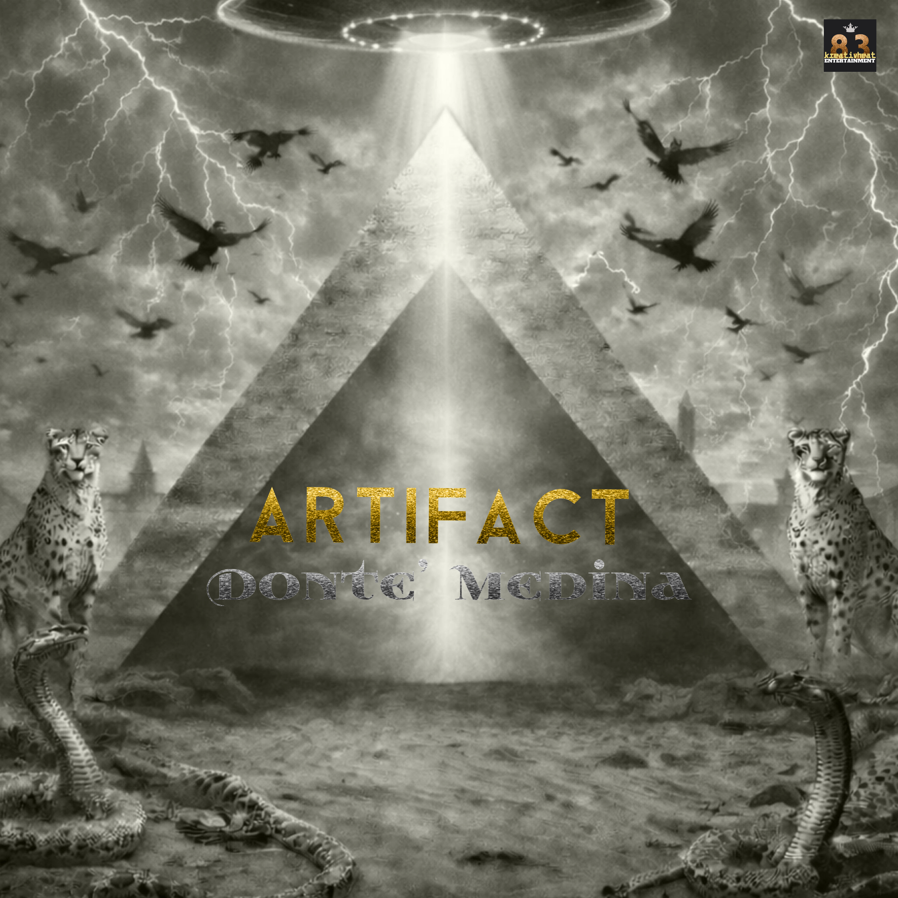 Artifact artwork
