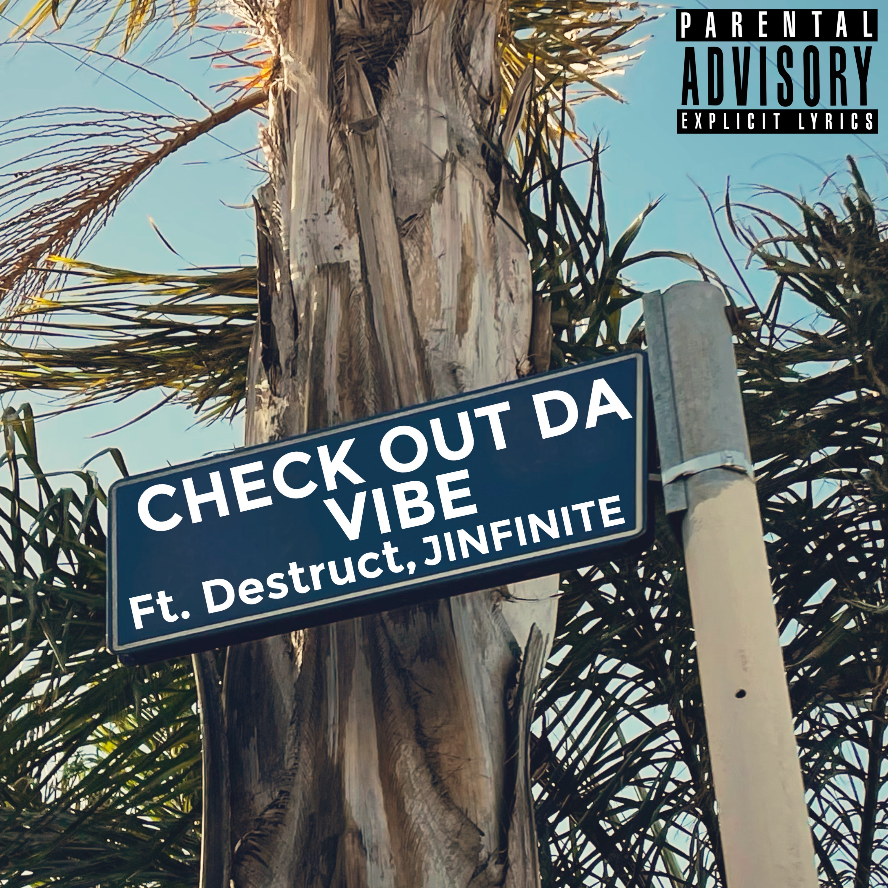 Check Out Da Vibe artwork
