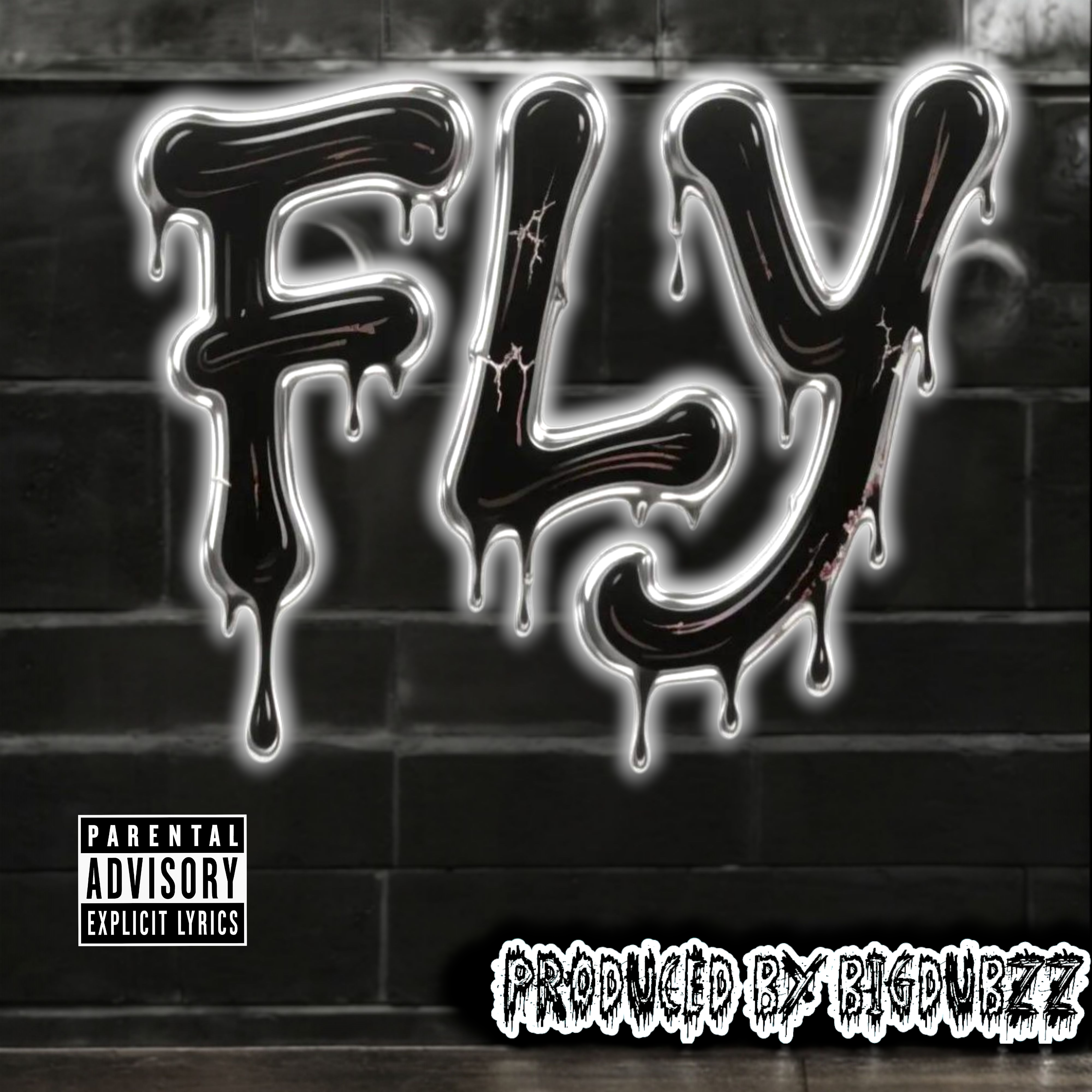 FLY artwork