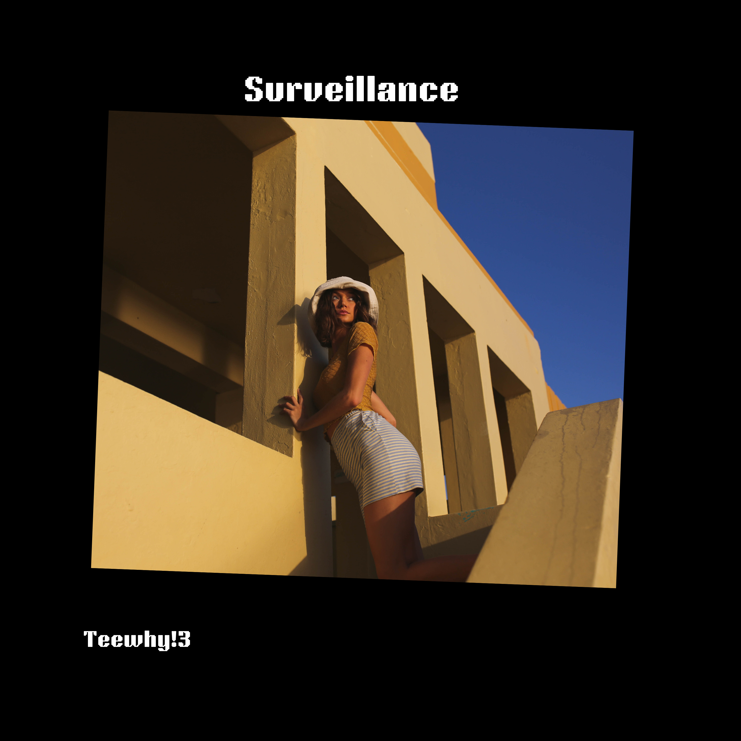 Surveillance by TeeWhy!3 cover art