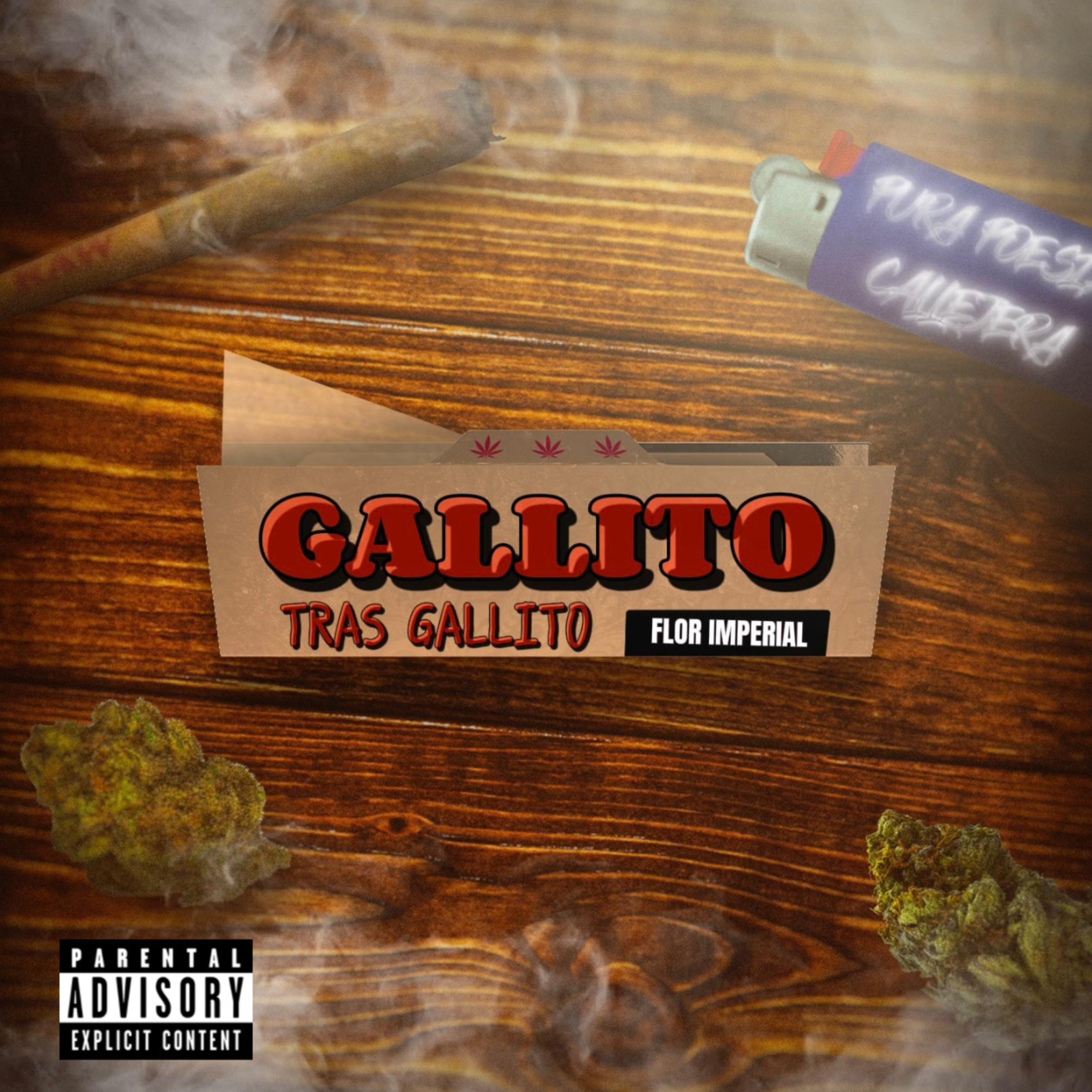 GALLITO TRAS GALLITO artwork