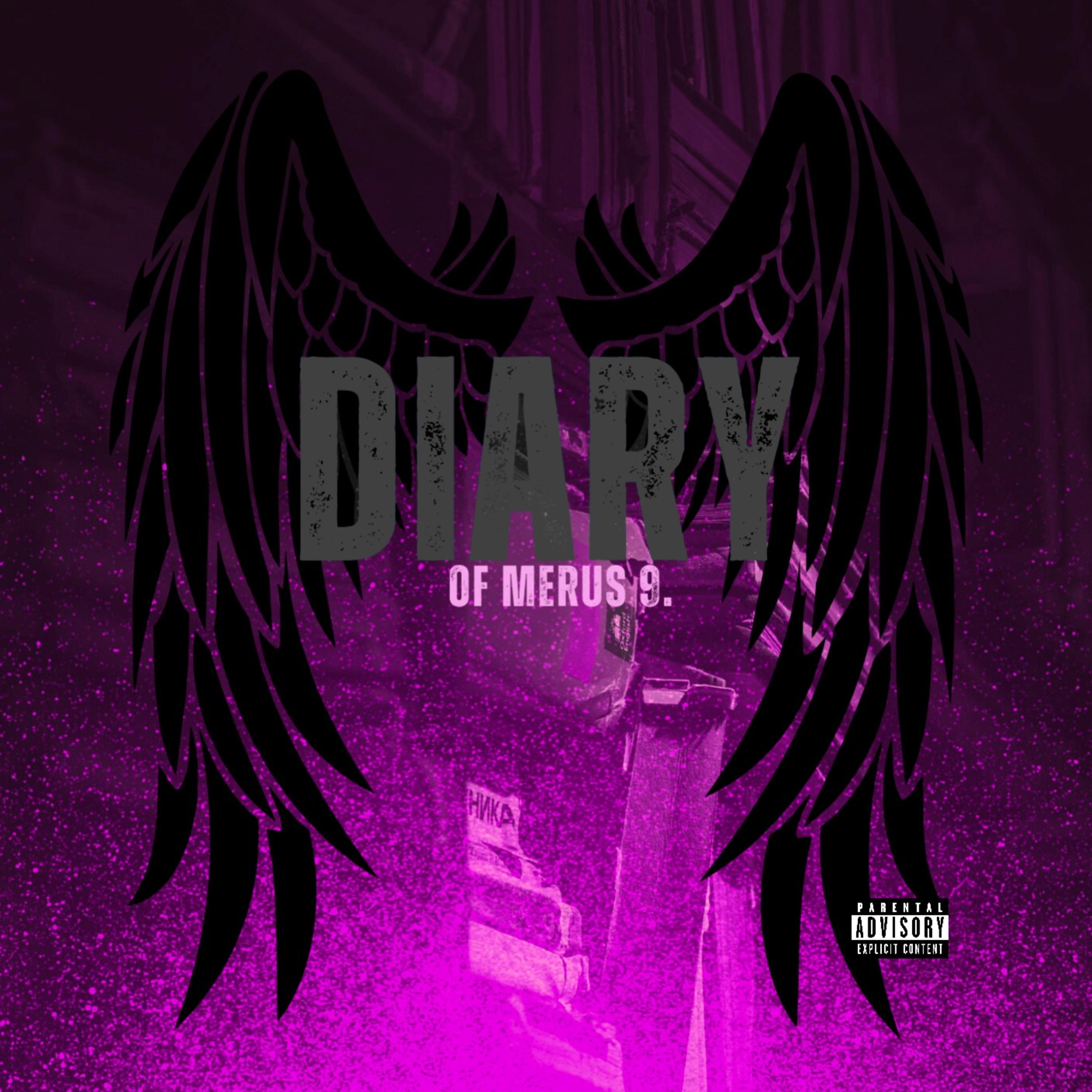 Diary of Merus 9 artwork