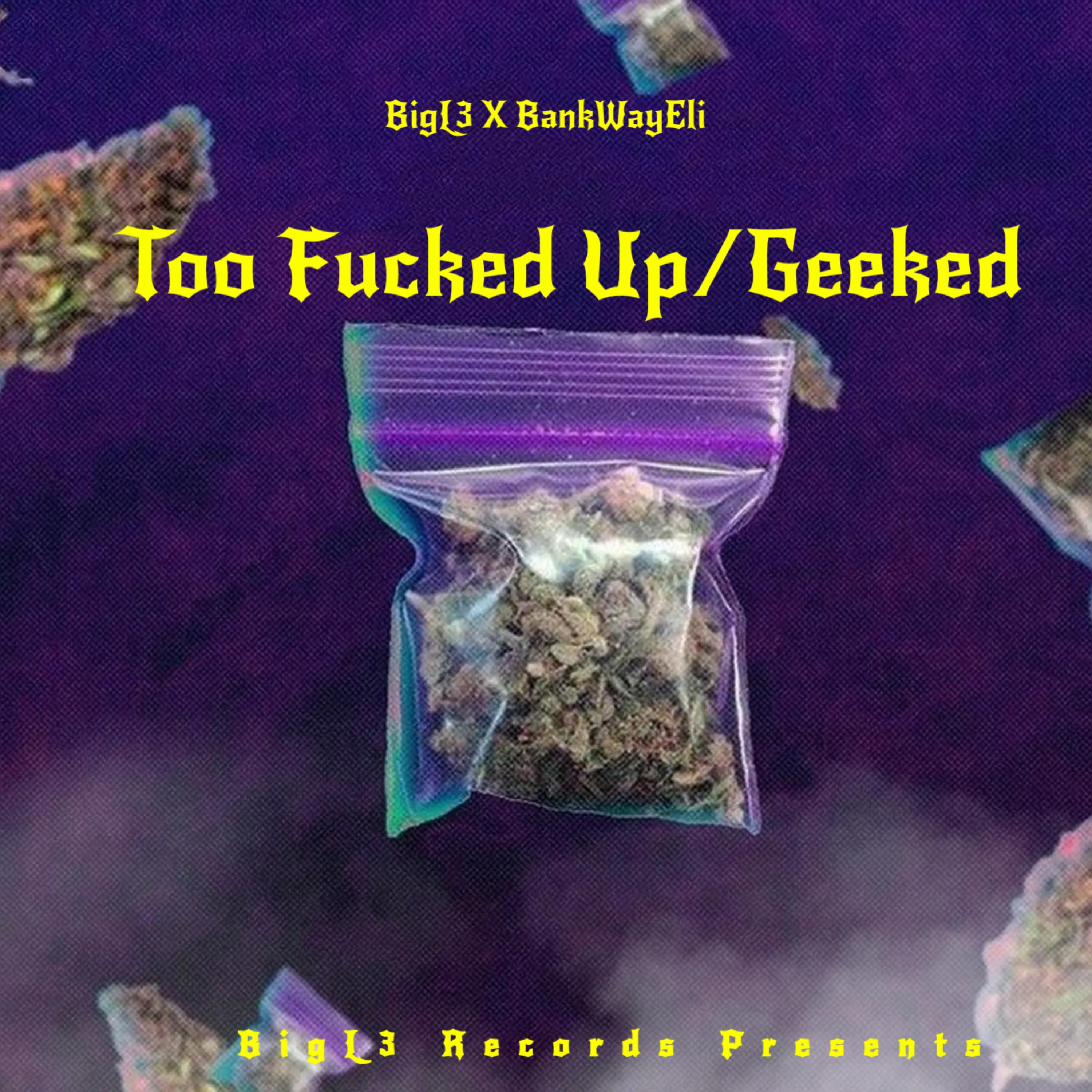 Too Fucked Up/Geeked artwork