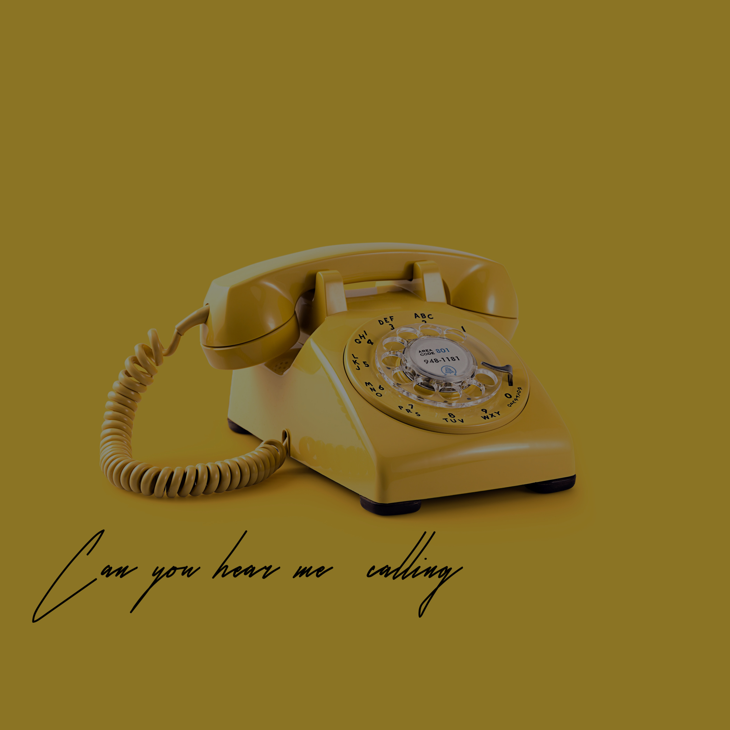 Can You Hear Me Calling artwork