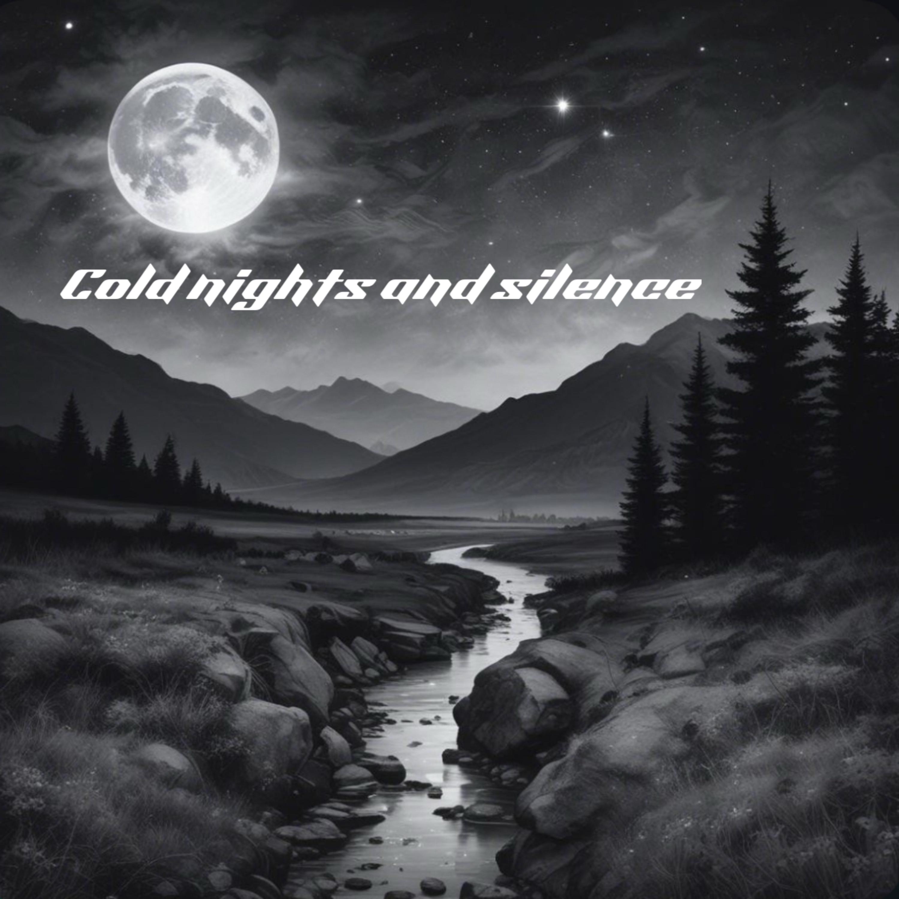 Cold Nights And Silence artwork