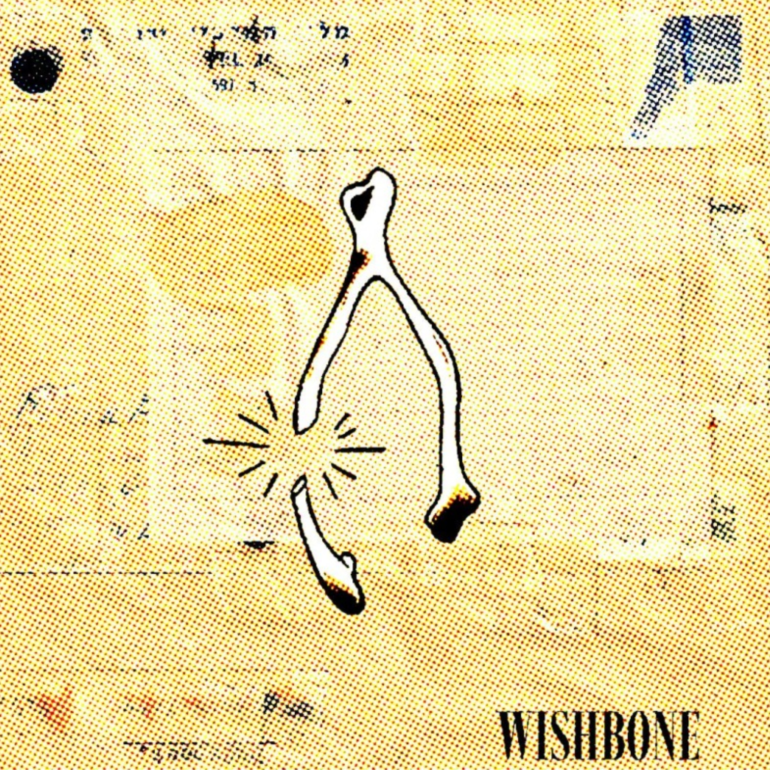 WISHBONE by NEMOKAMI cover art