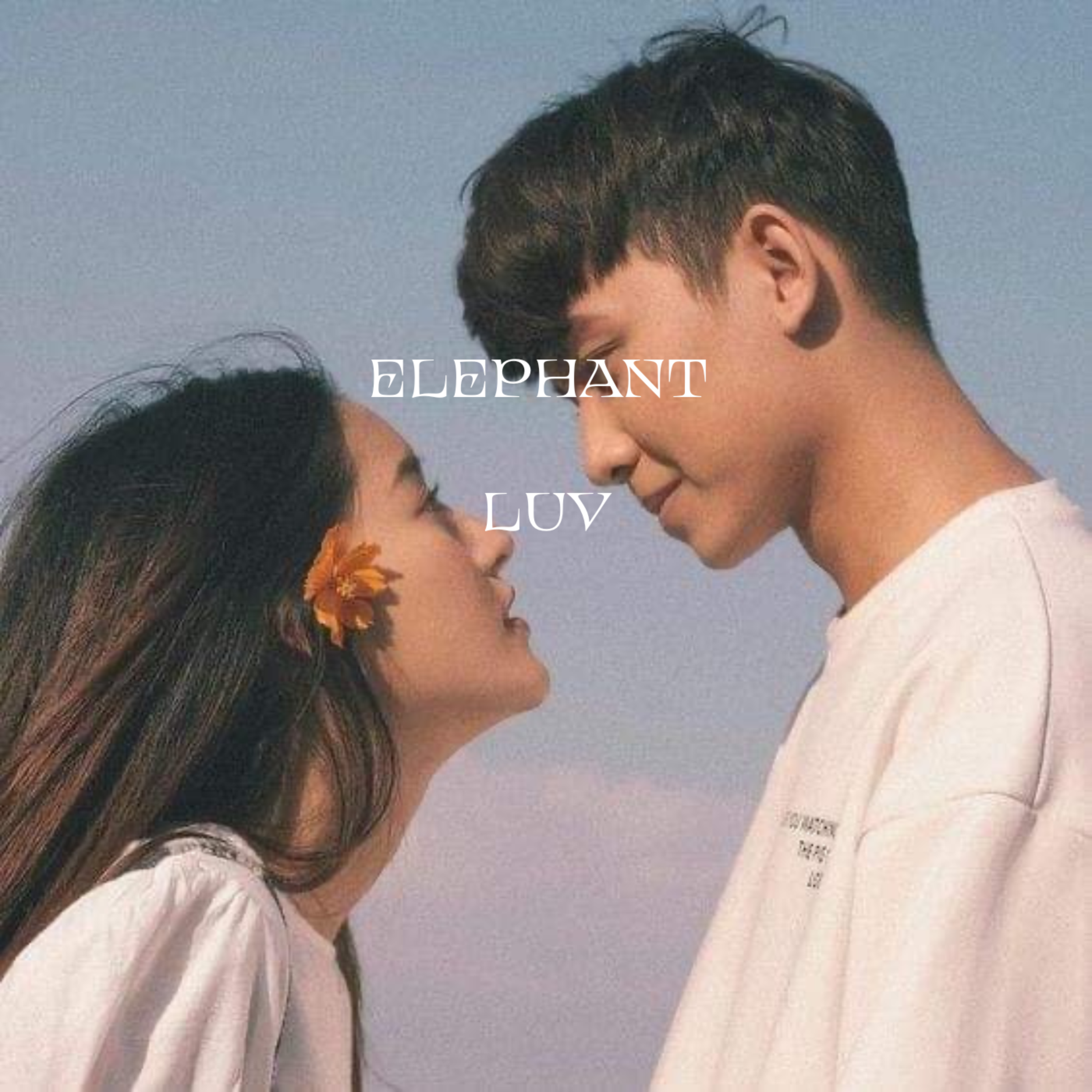 Elephant Luv artwork