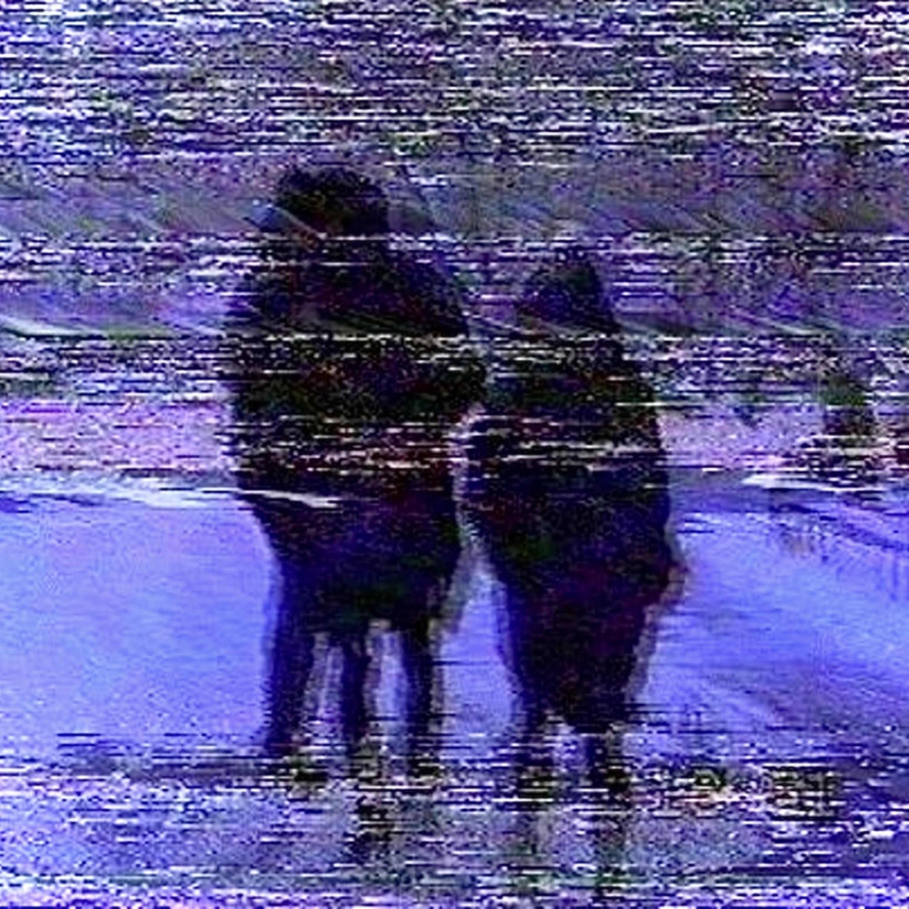 non·con·form·i·ty artwork