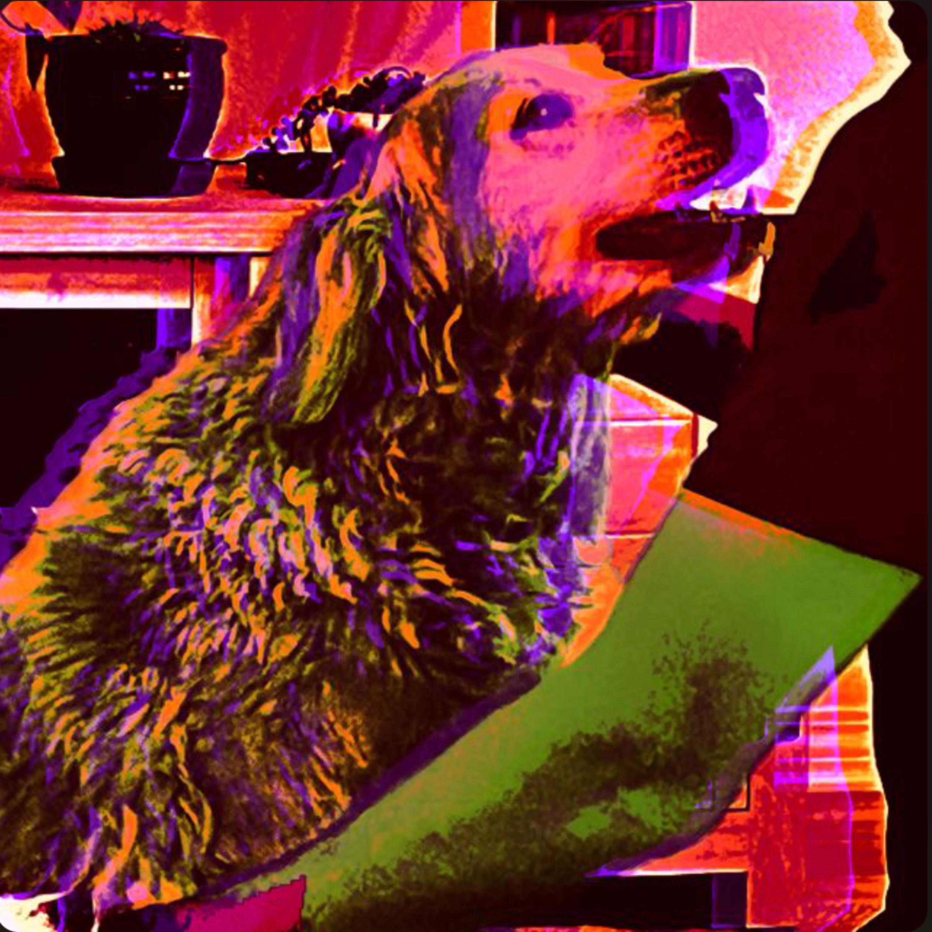 The Cycle Repeats artwork