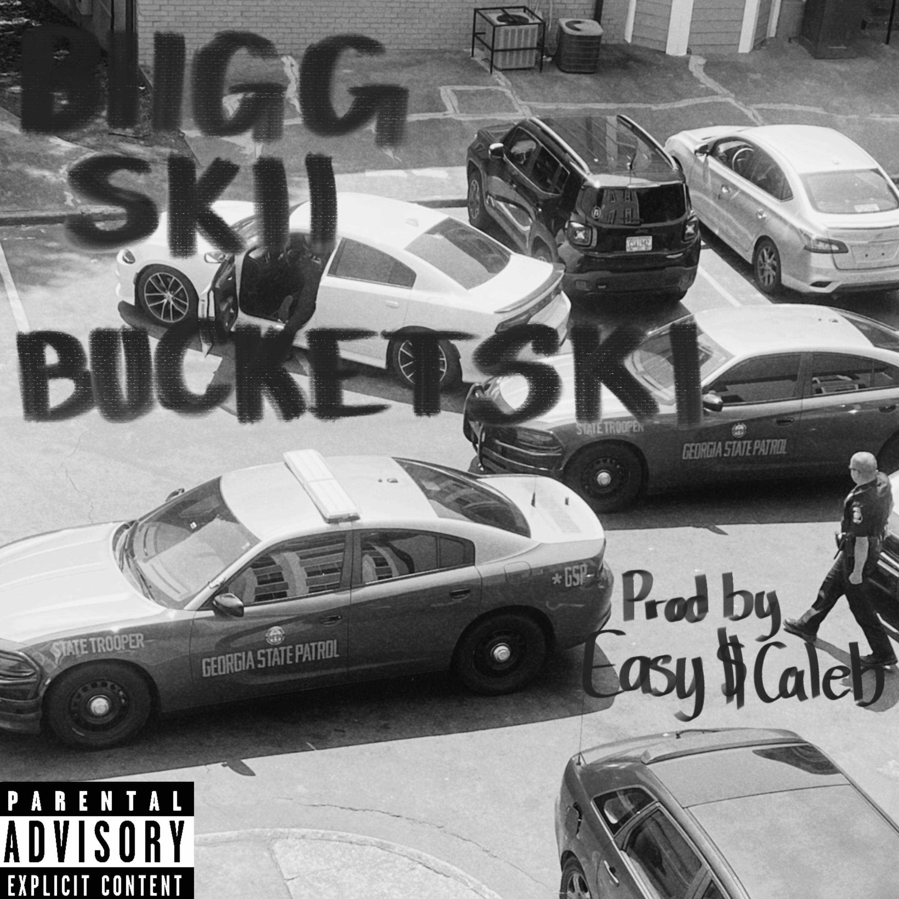 BUCKETSKI artwork