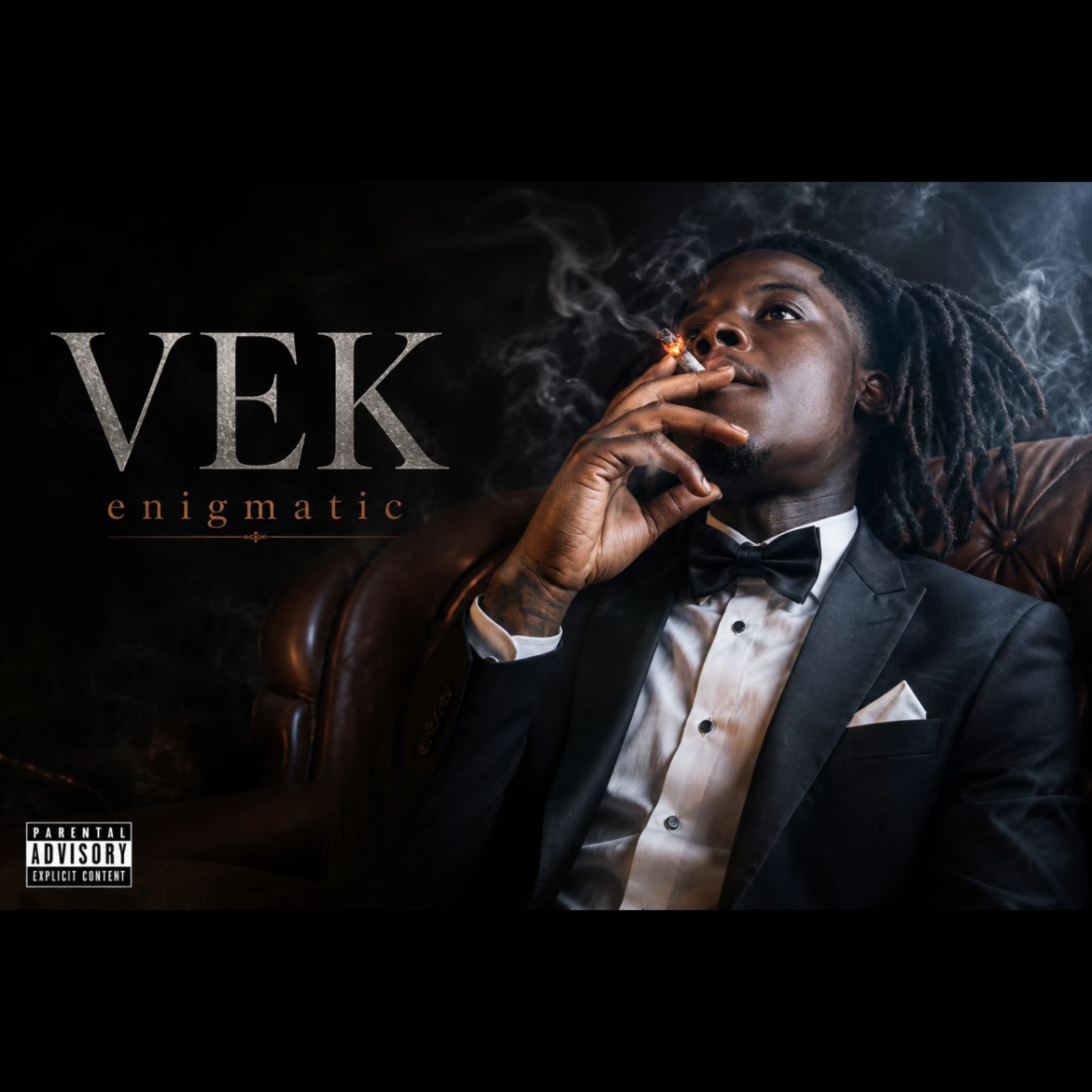 ENIGMATIC by Vek cover art