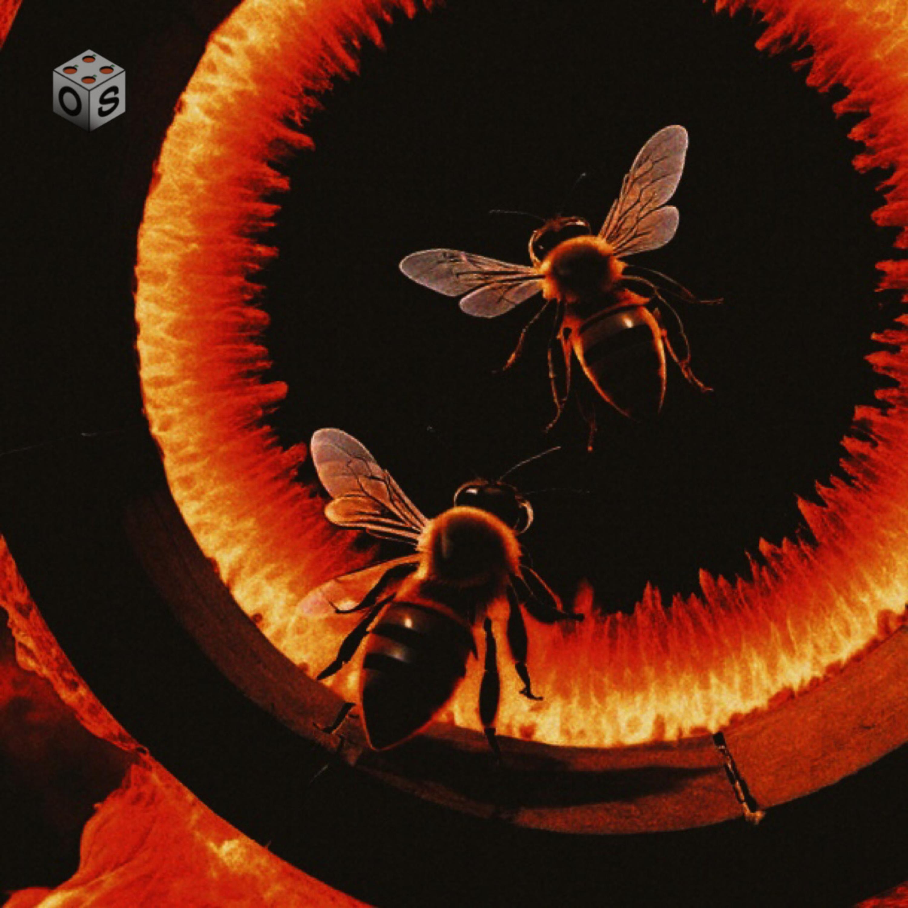 LOVE IS P4IN (C4PSULE) artwork