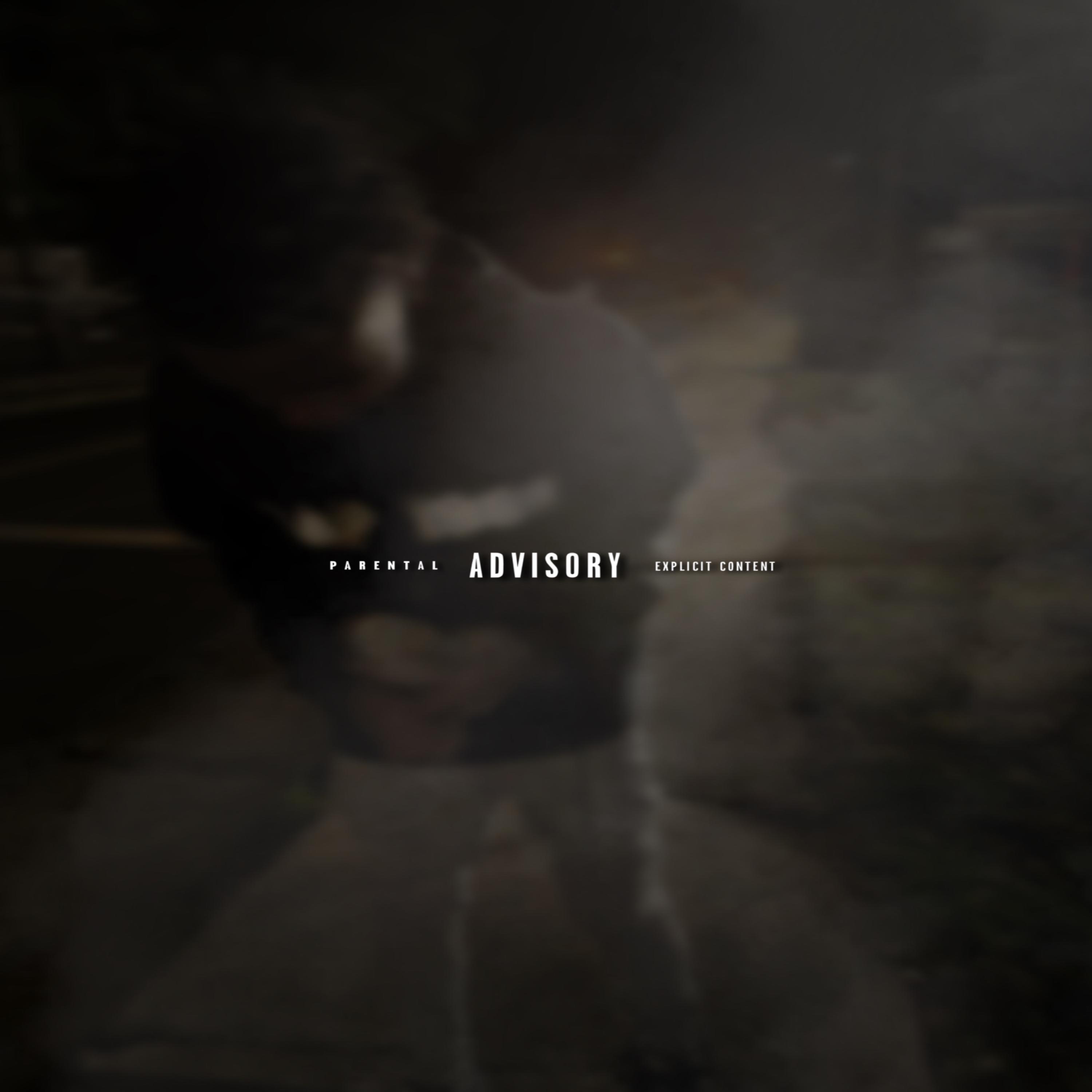 Televised artwork