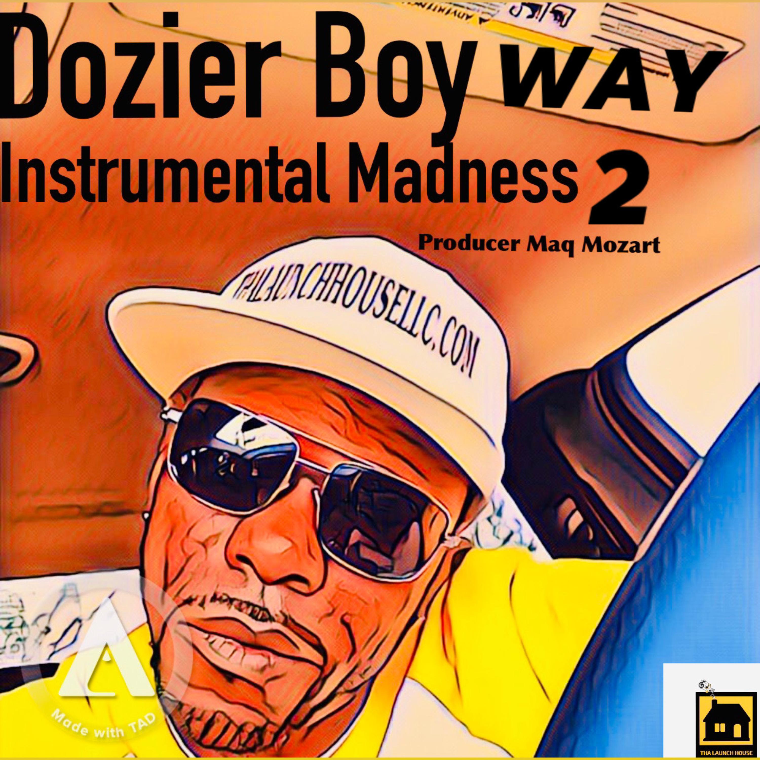Instrumental Madness 2 artwork