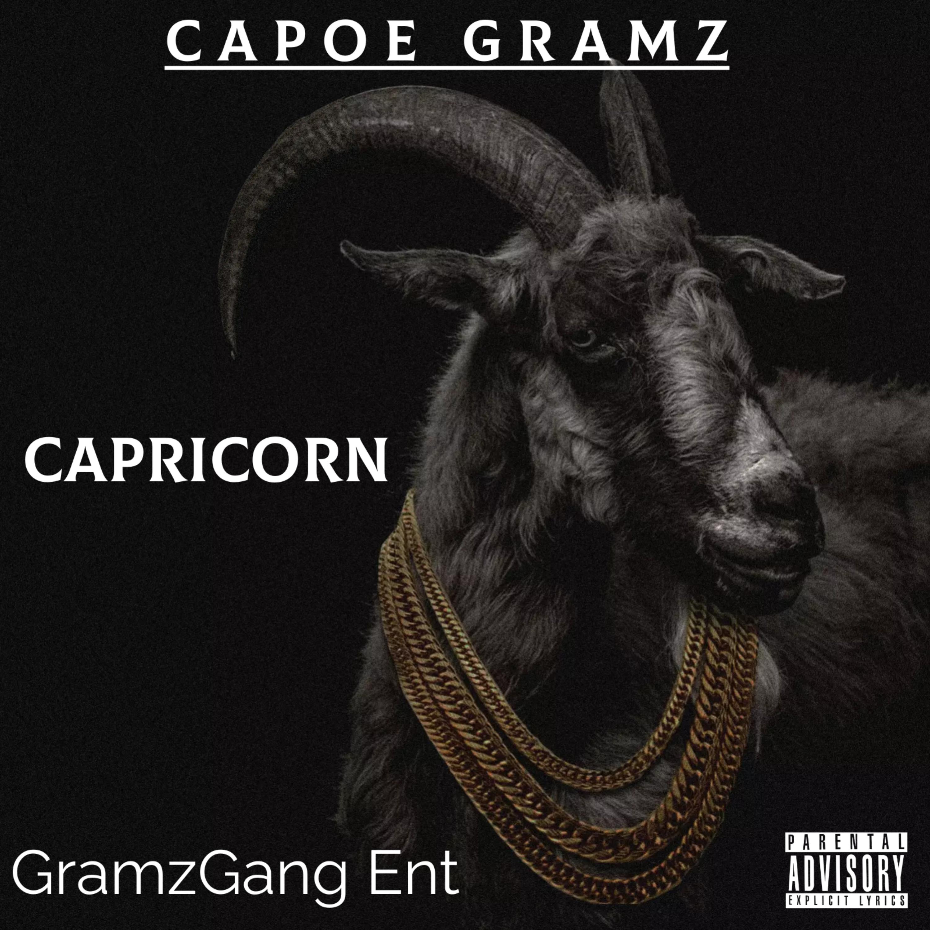 Capricorn artwork