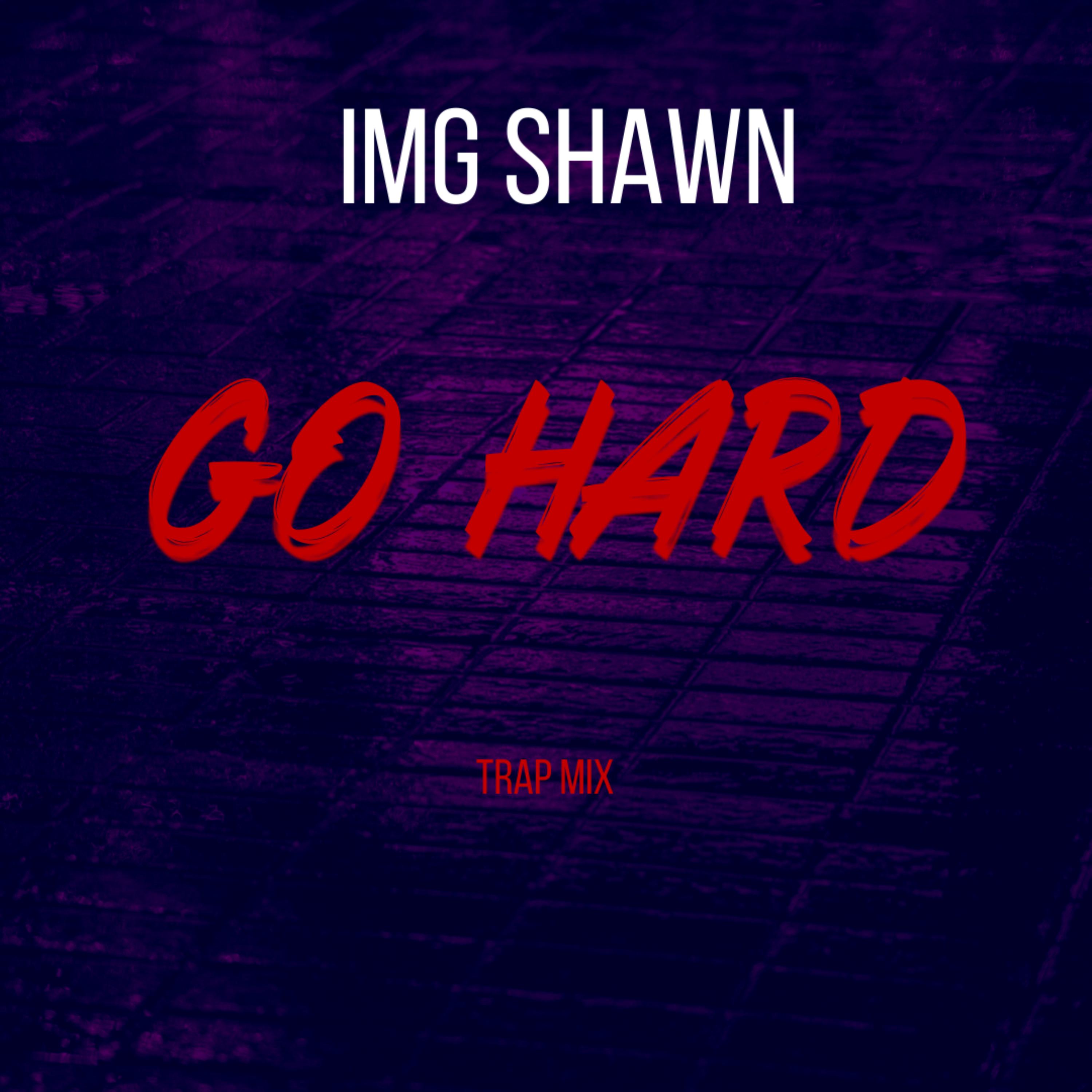GO HARD artwork