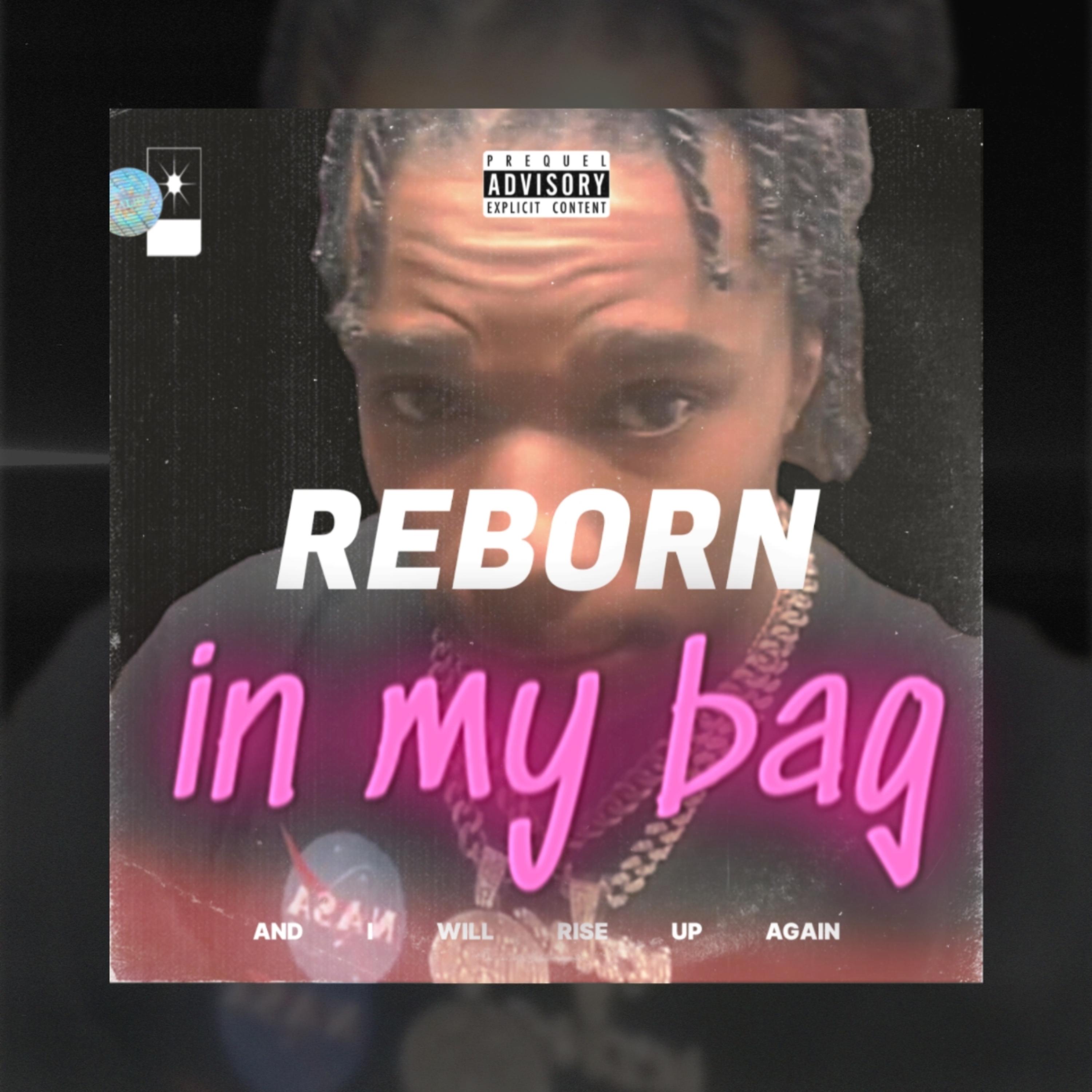 Reborn In My Bag artwork