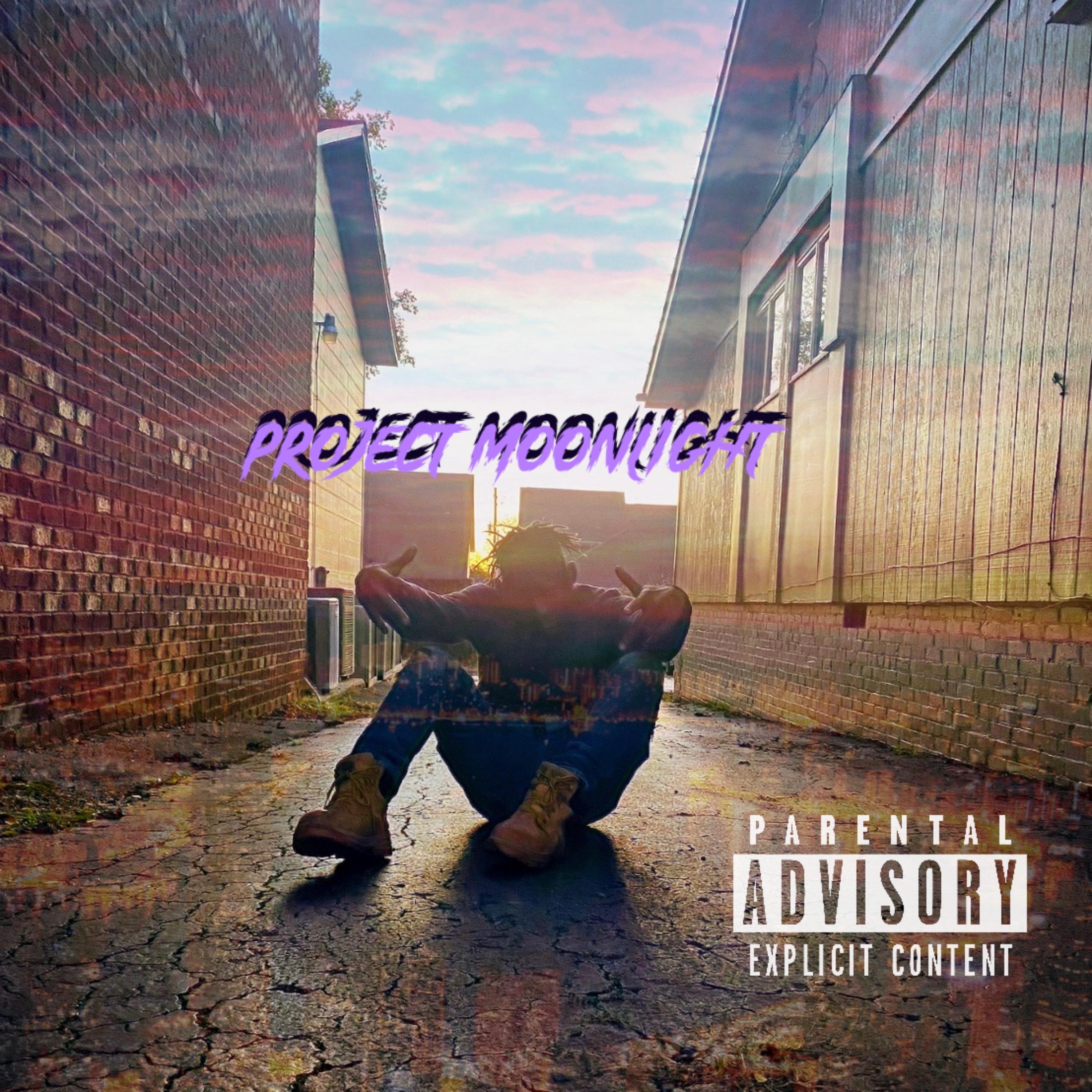 Project Moonlight artwork