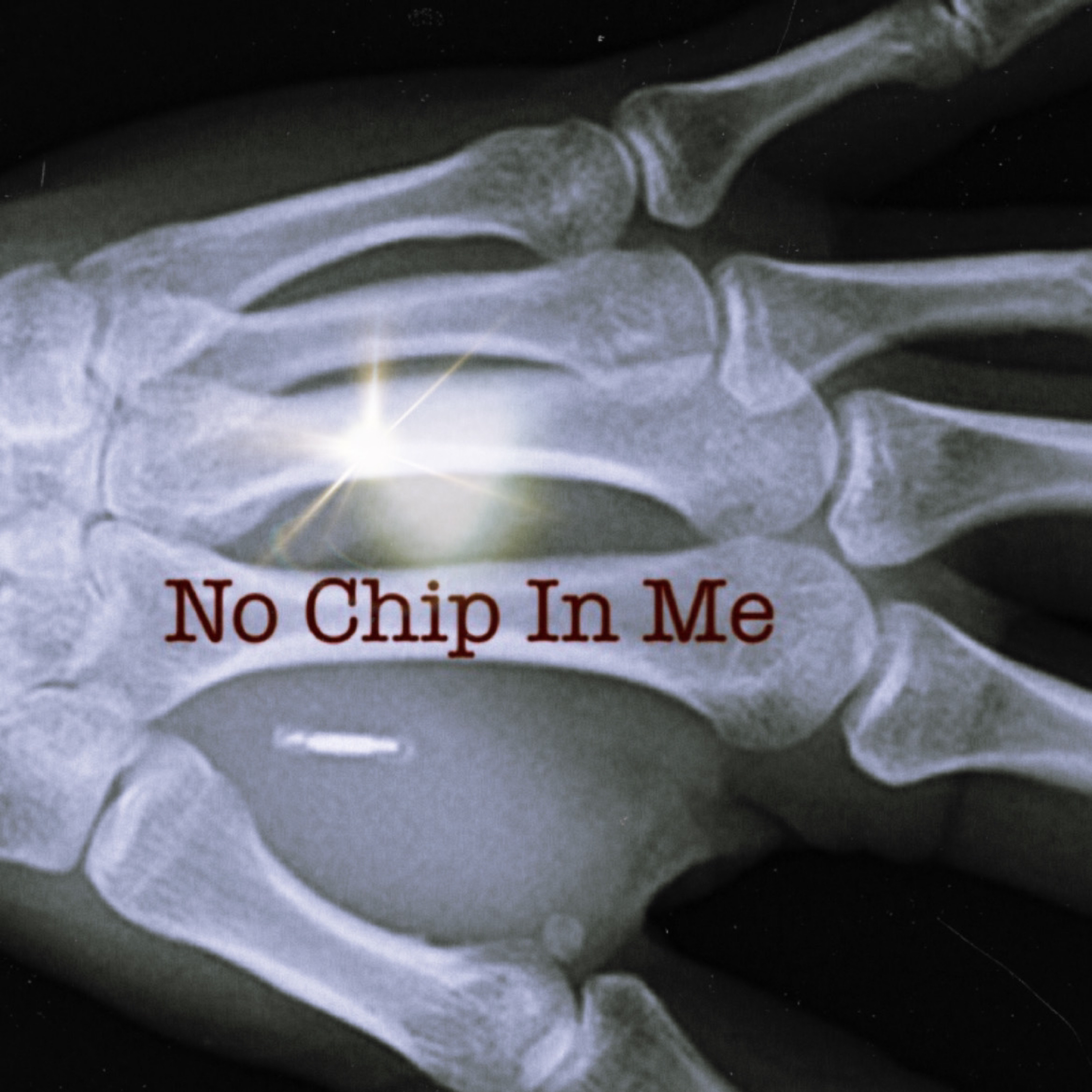 No Chip In Me artwork