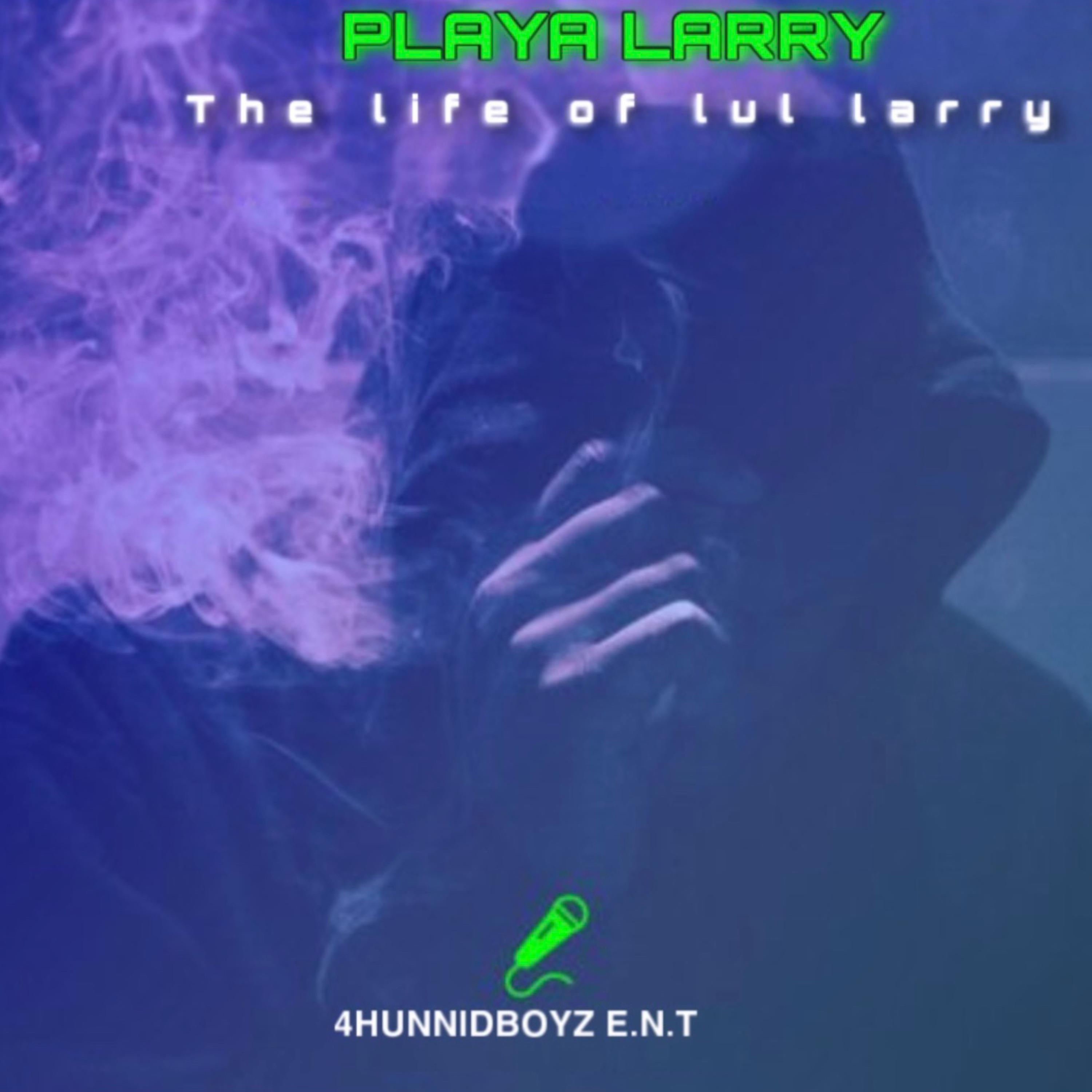 The Life Of Lul Larry artwork