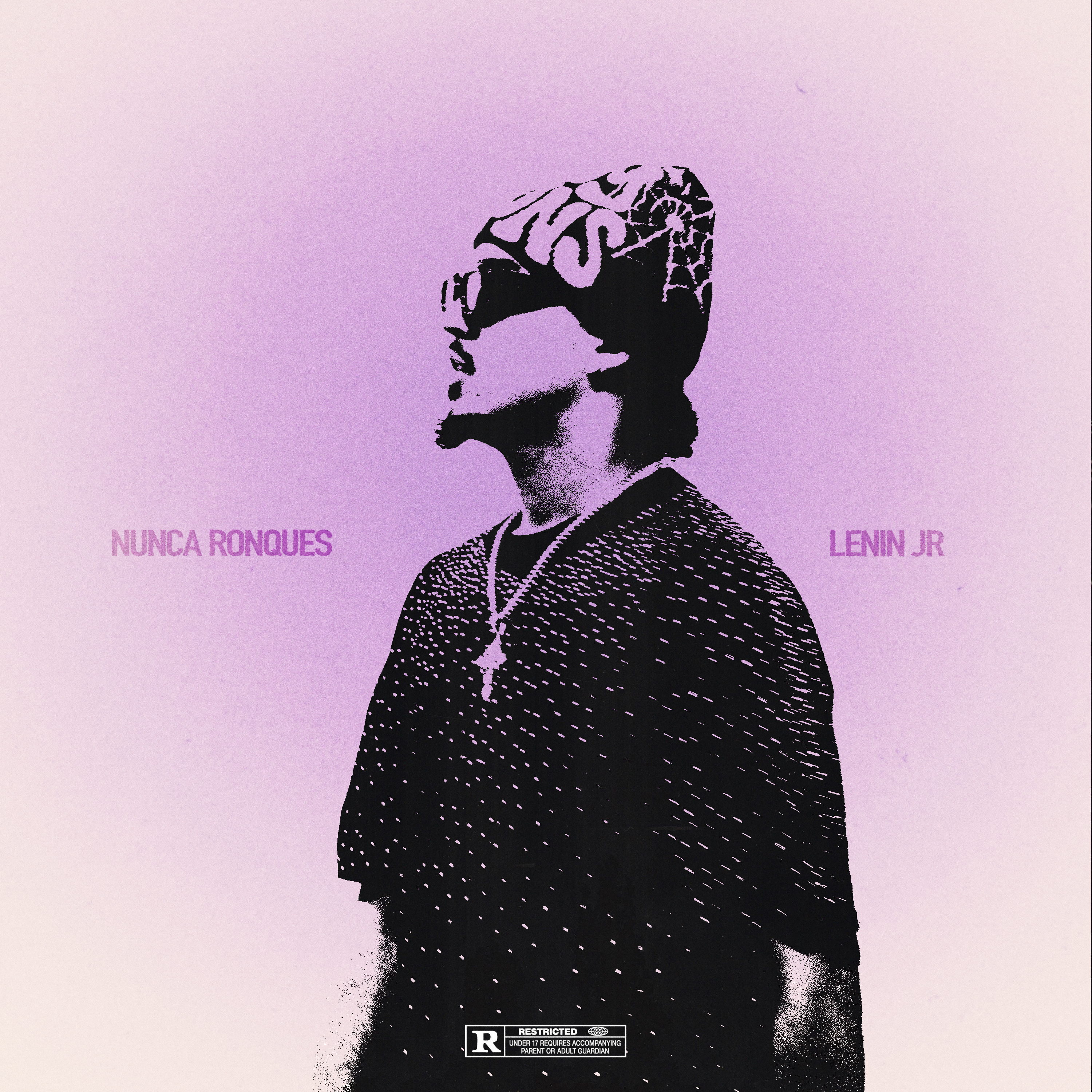 Nunca ronques artwork