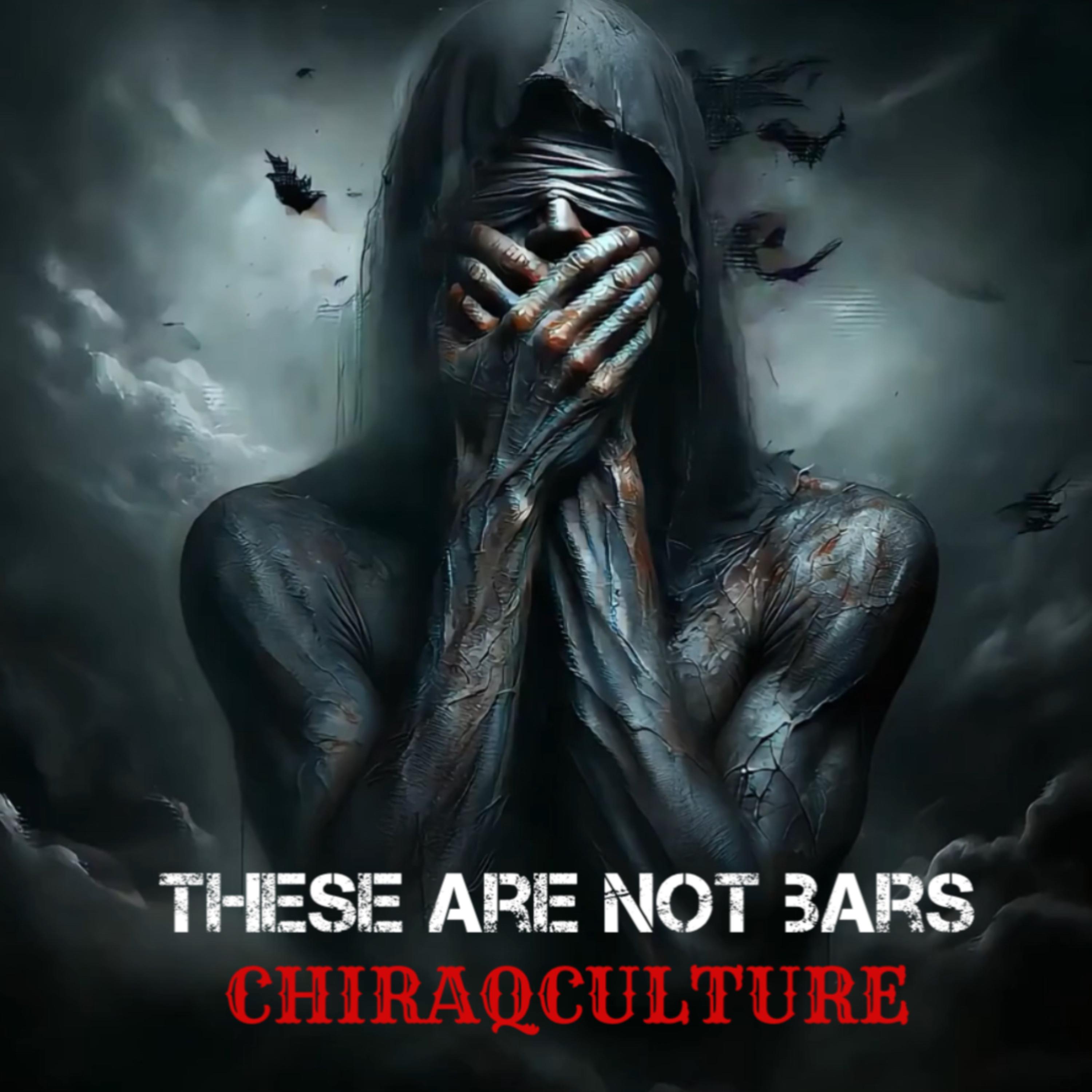 THESE ARE NOT BARS artwork