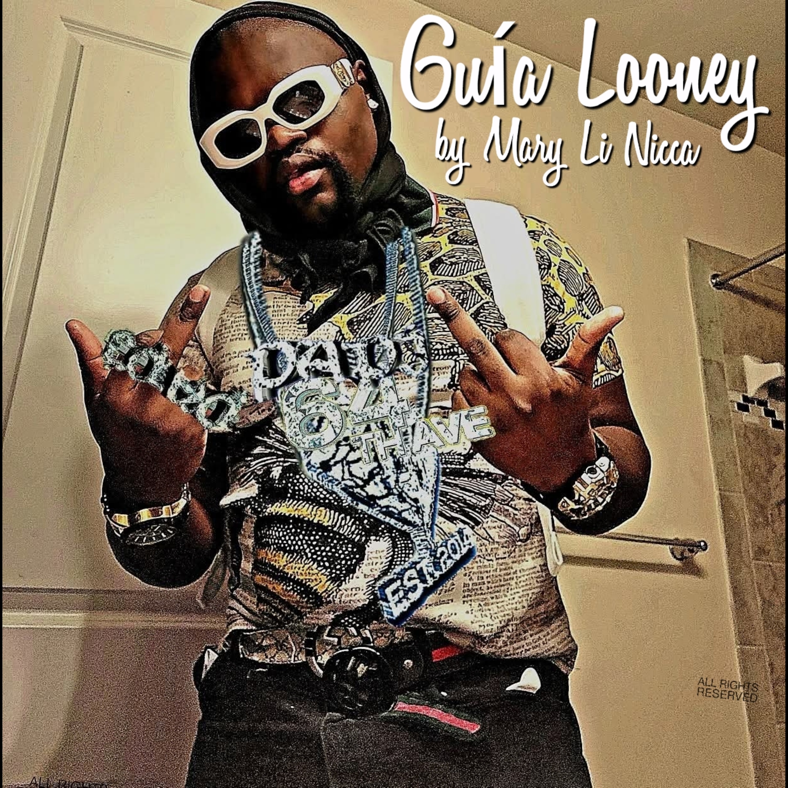Guía Looney artwork