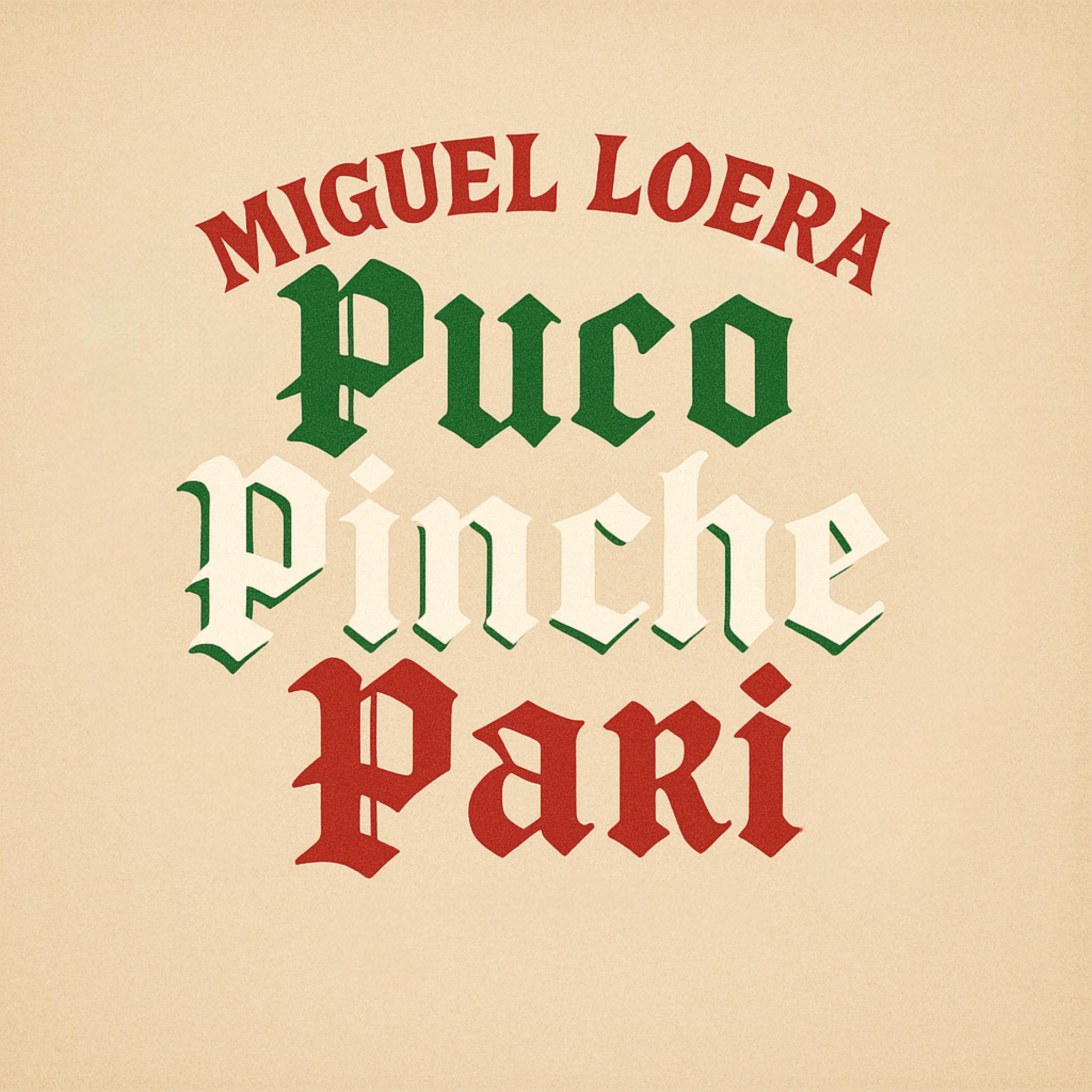 Puro Pinche Parí artwork