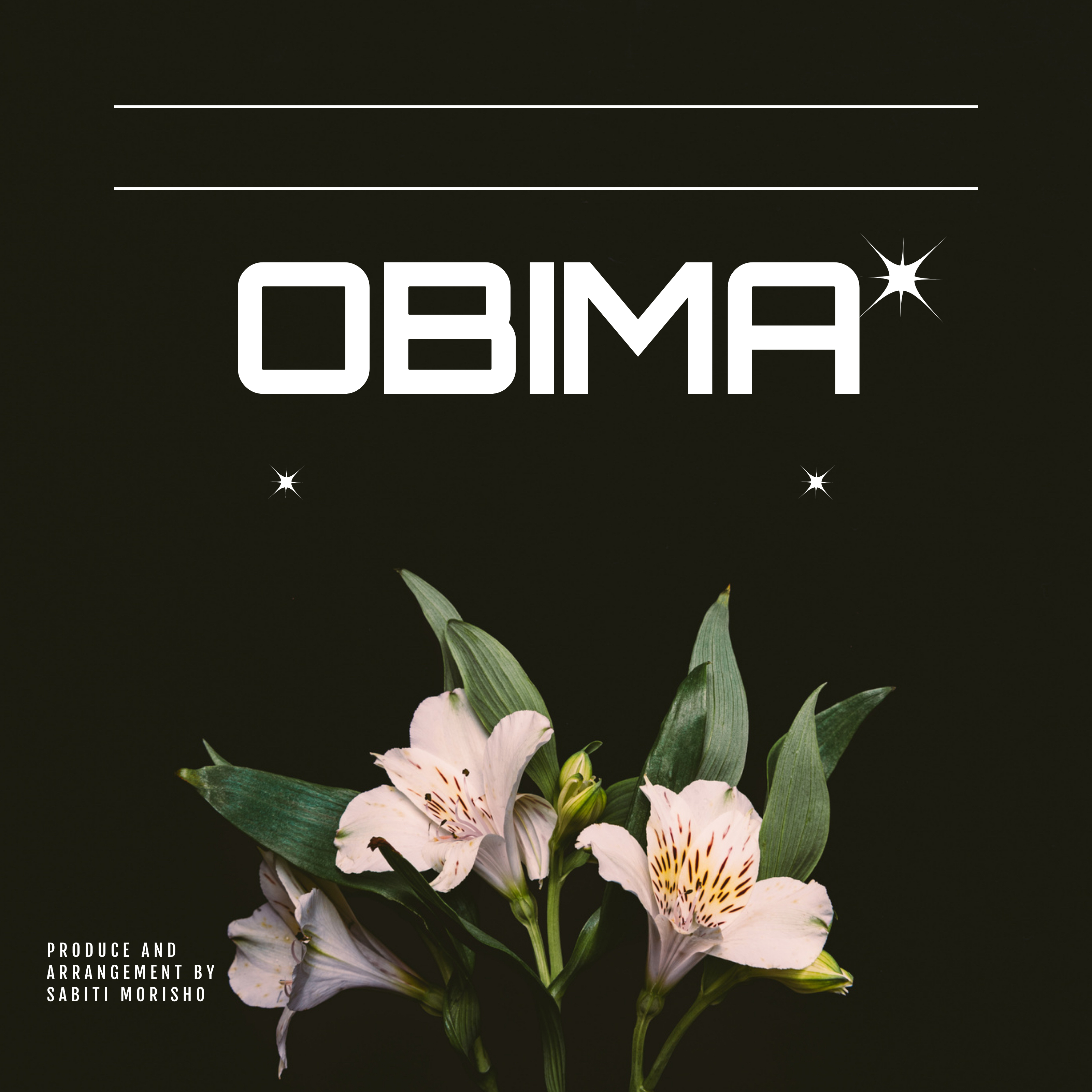 Obima artwork