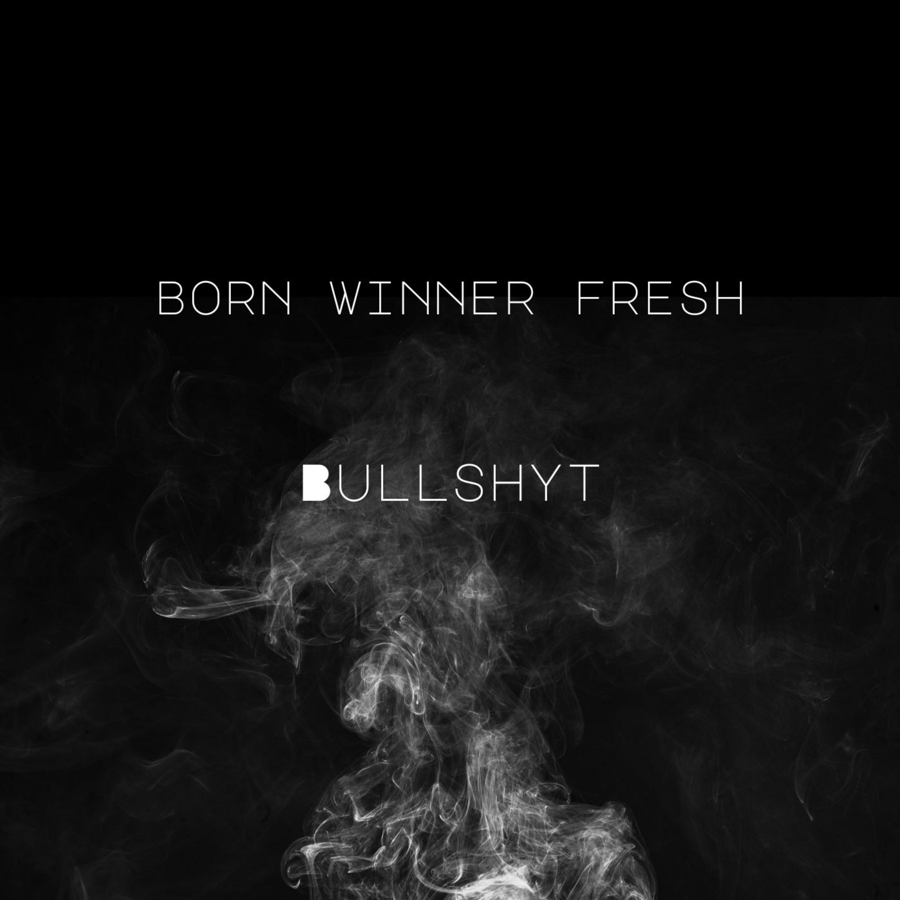 Bullshyt artwork