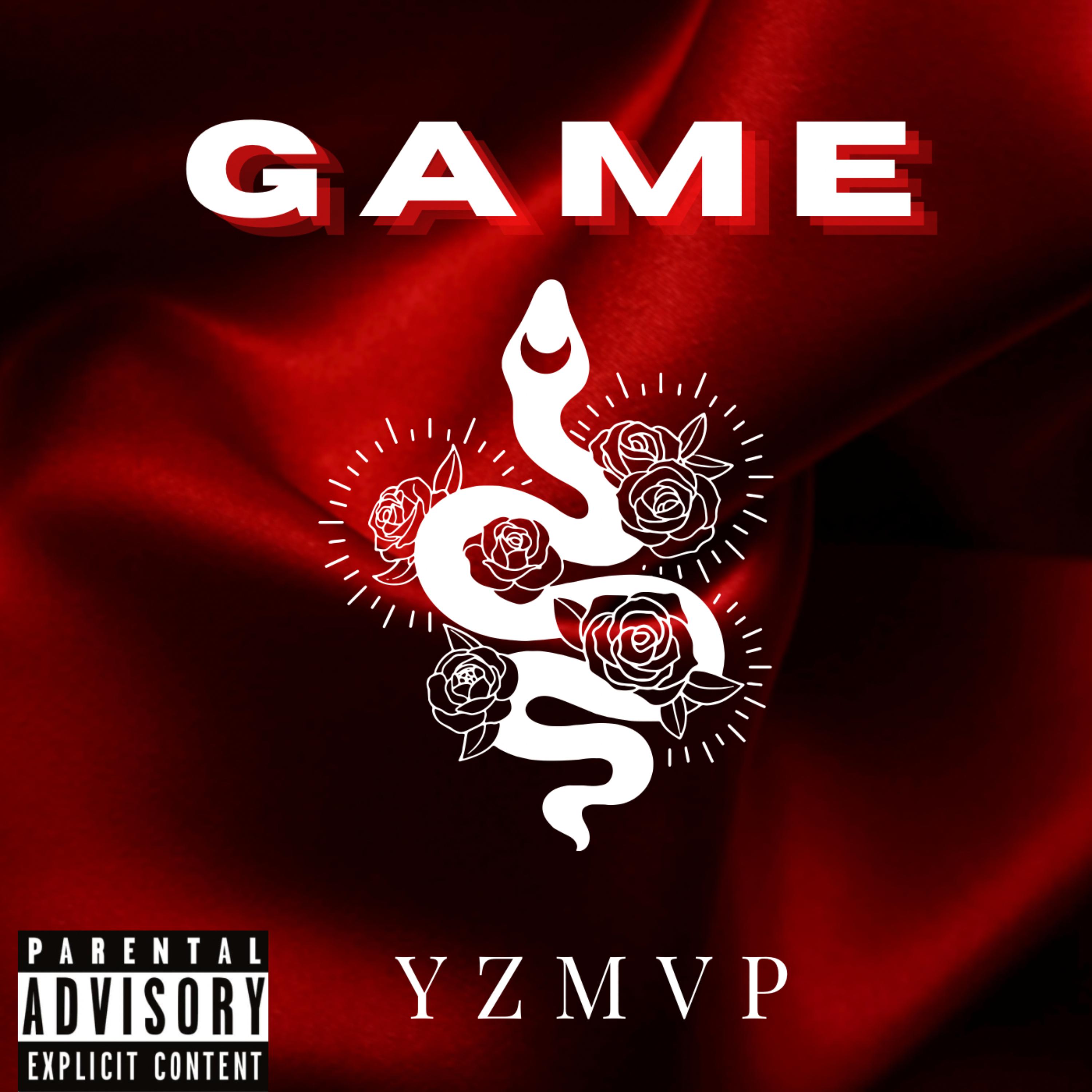 GAME artwork