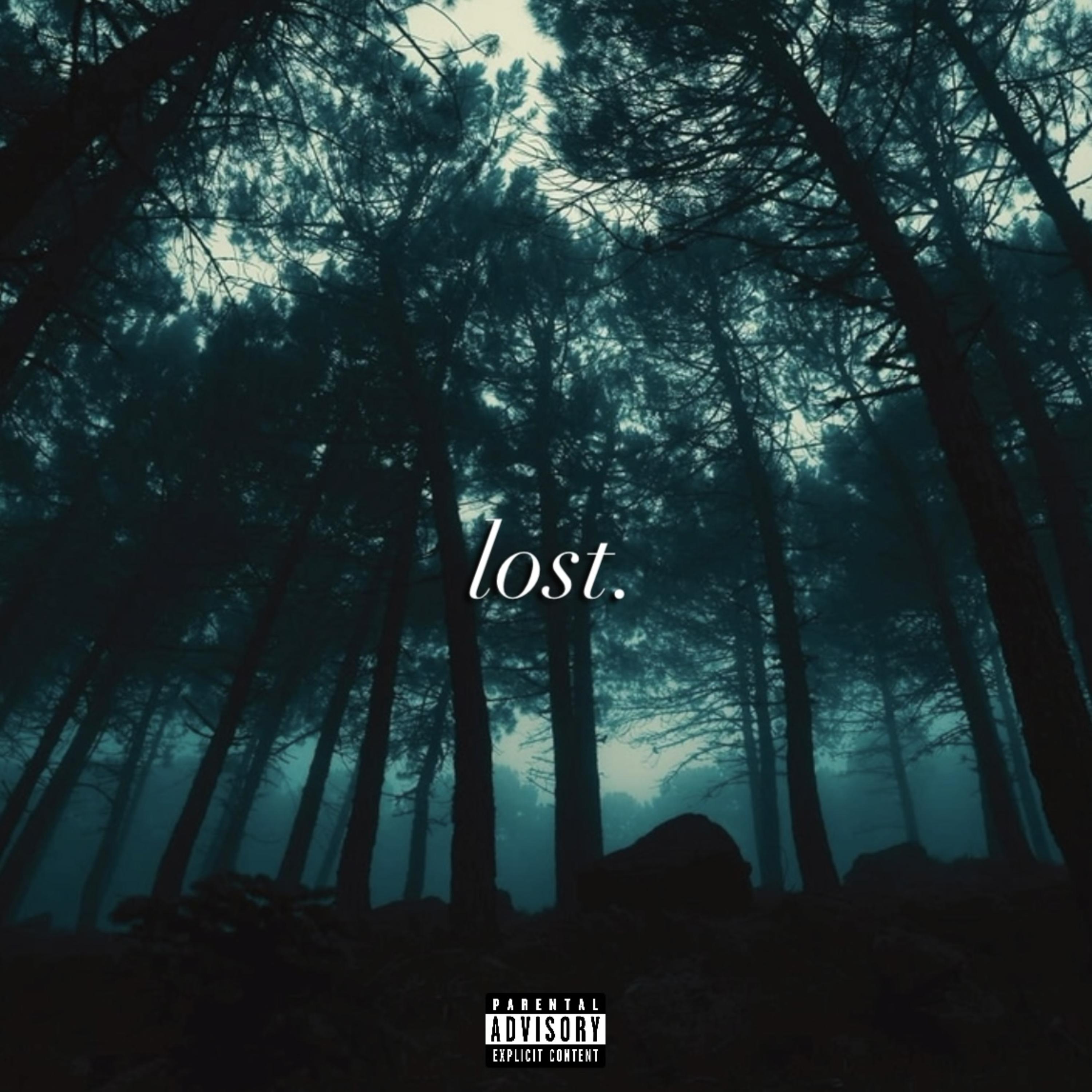 Lost artwork