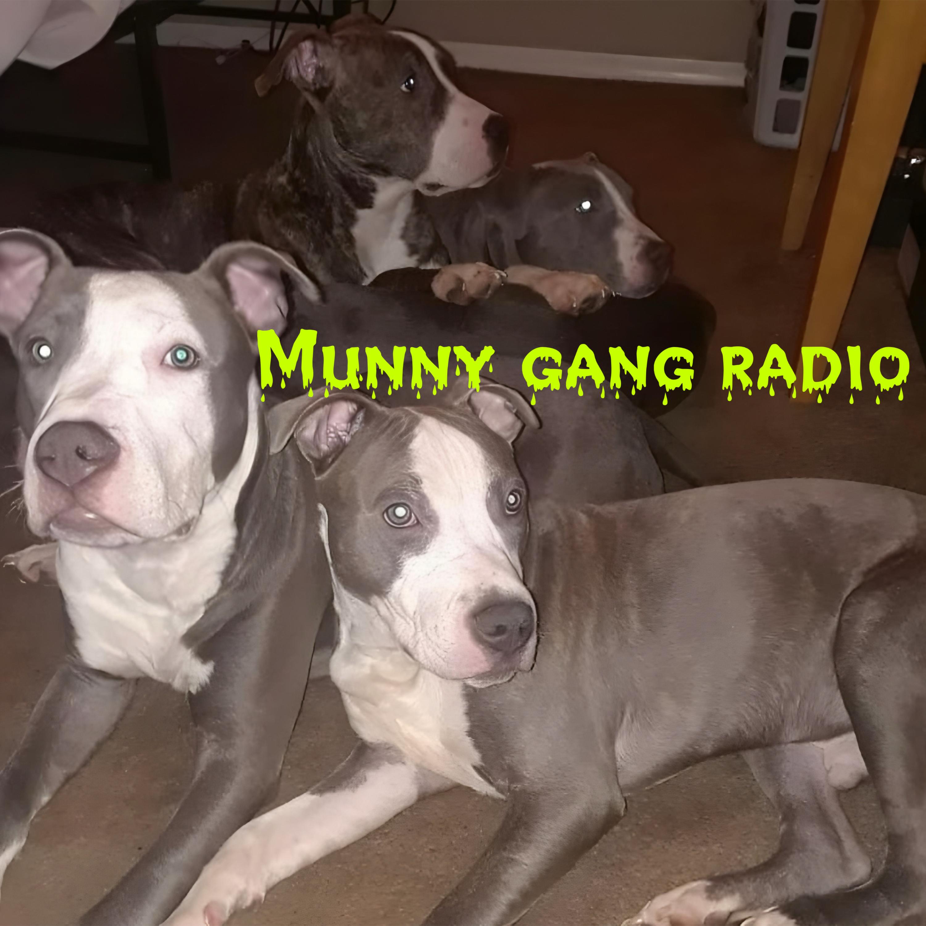Munny GanG Radio artwork