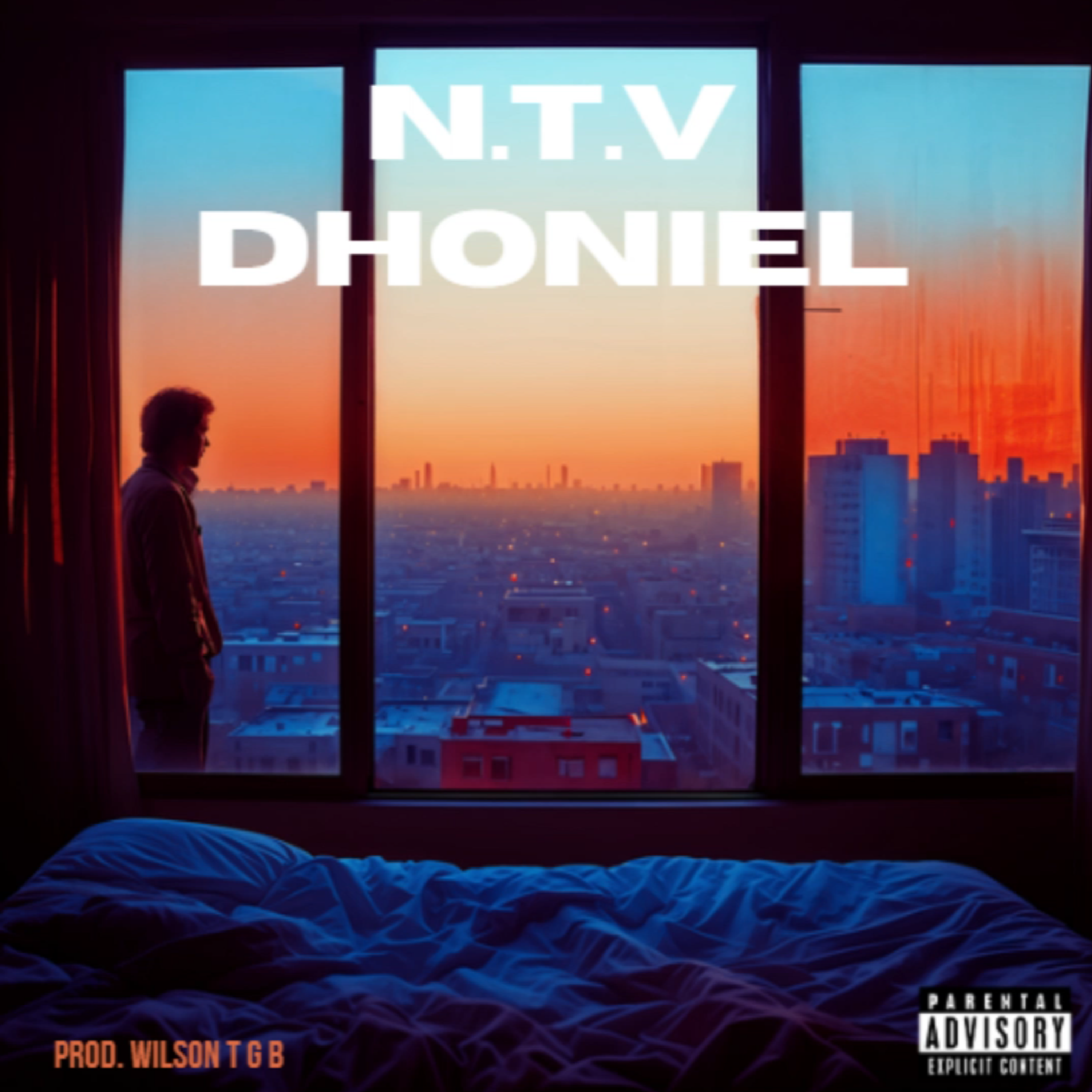 N.T.V artwork