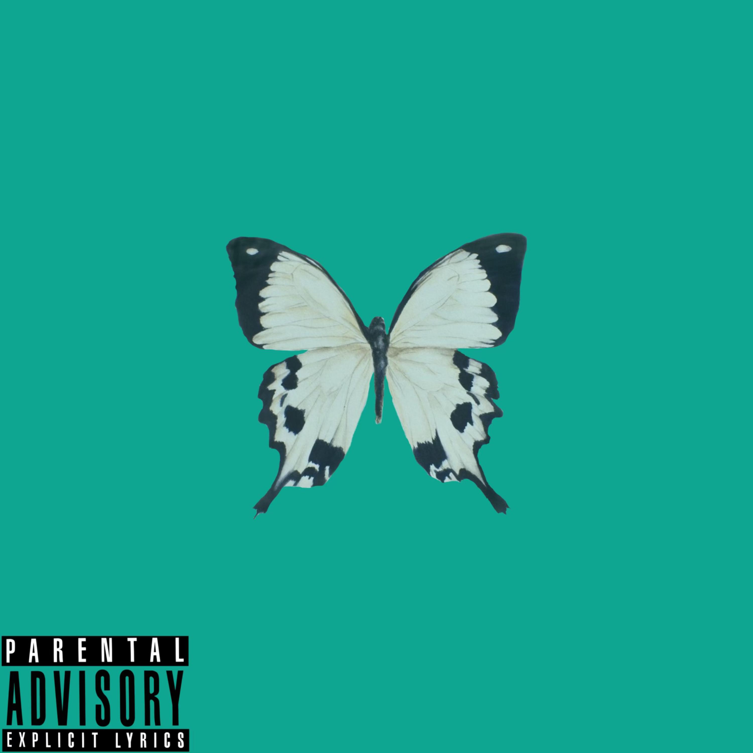 B4D H4B1TZ artwork
