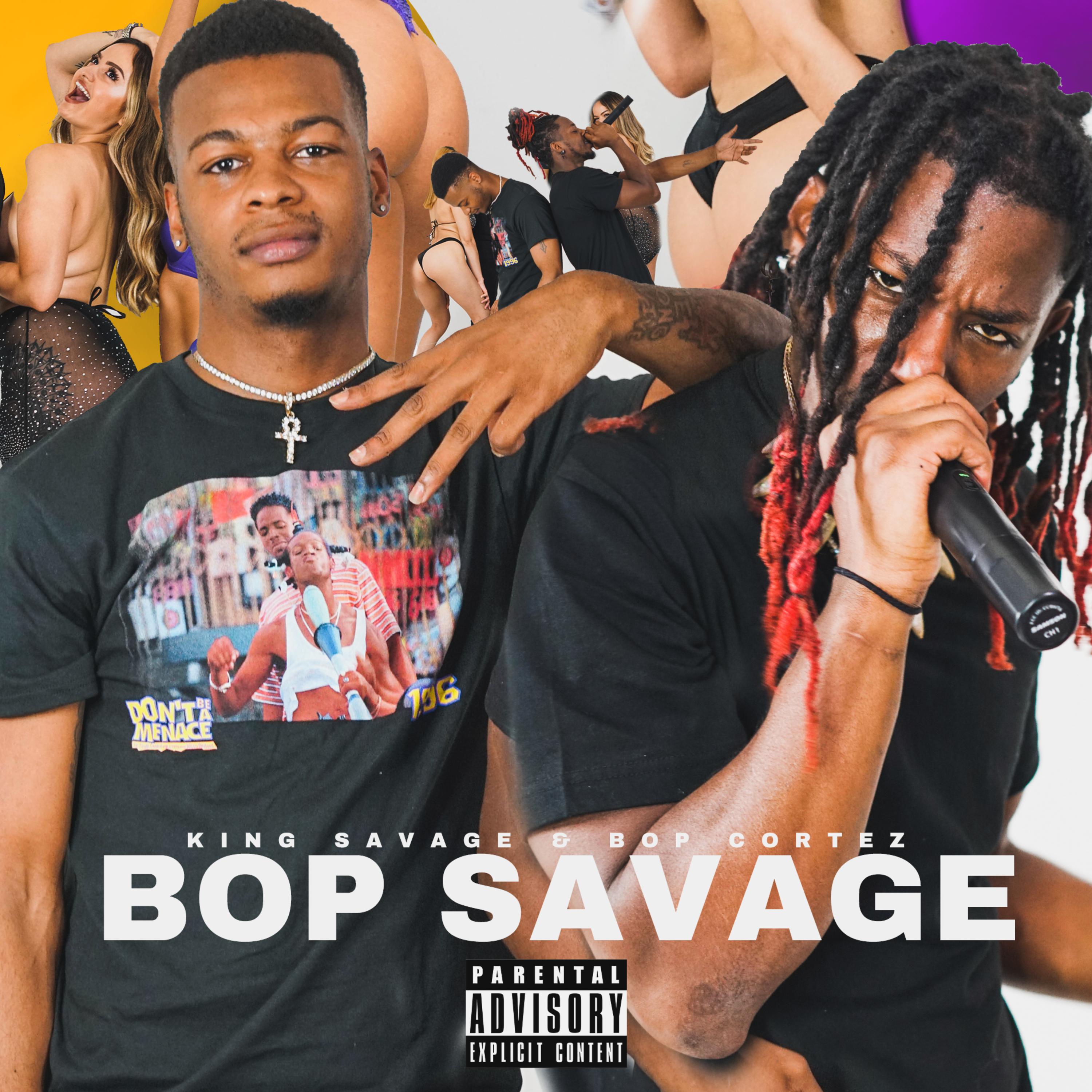 BOPSAVAGE artwork