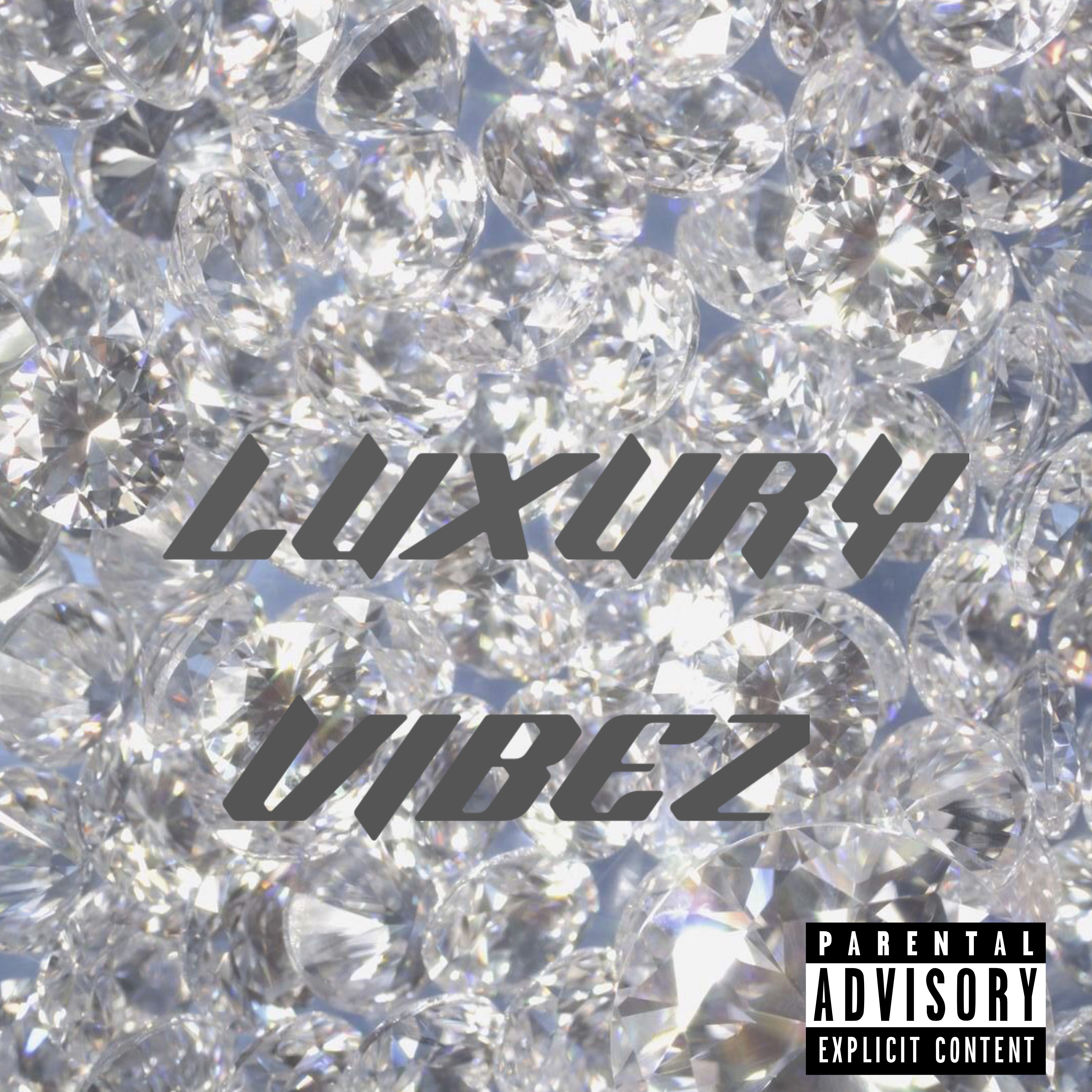 LUXURY VIBEZ artwork