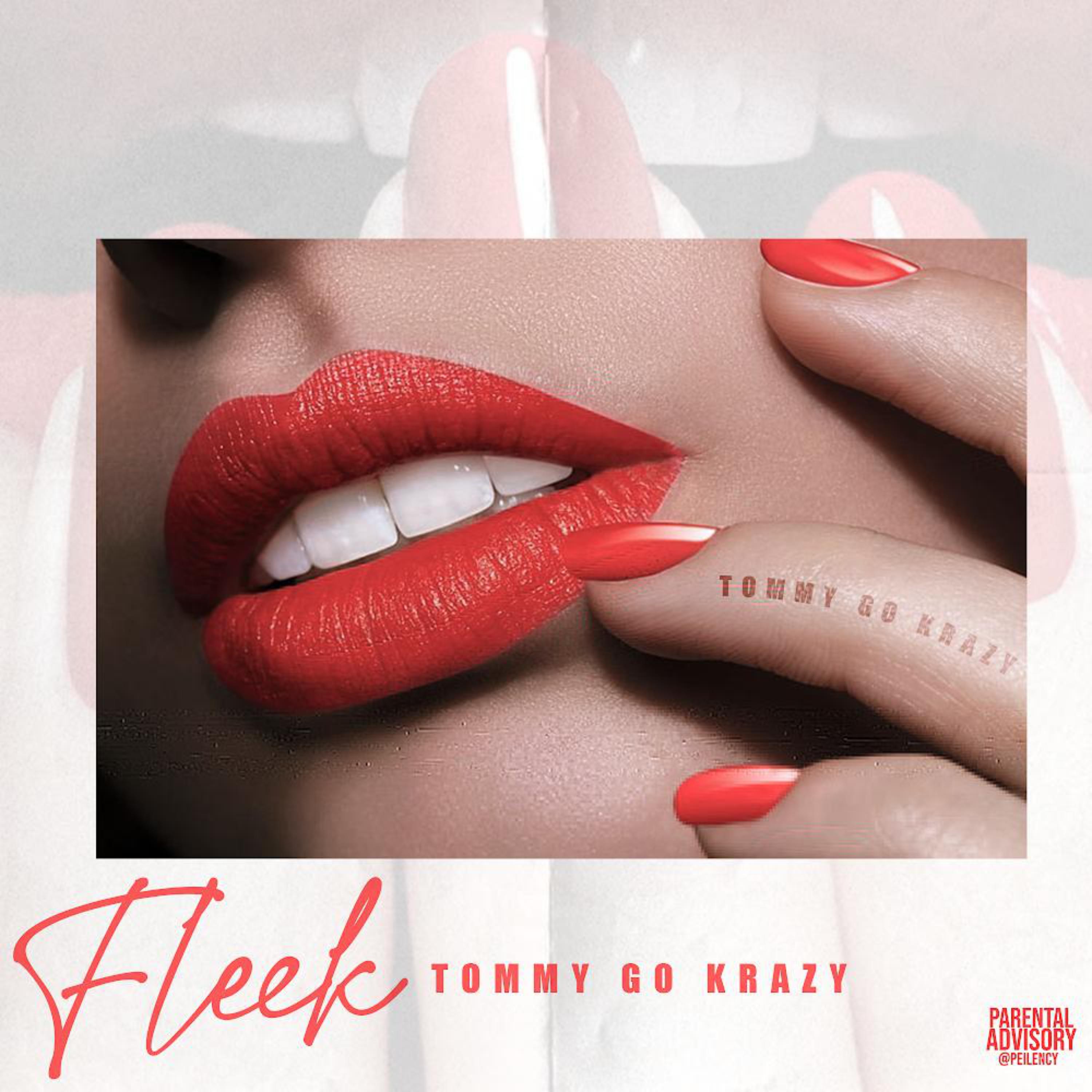 Fleek artwork