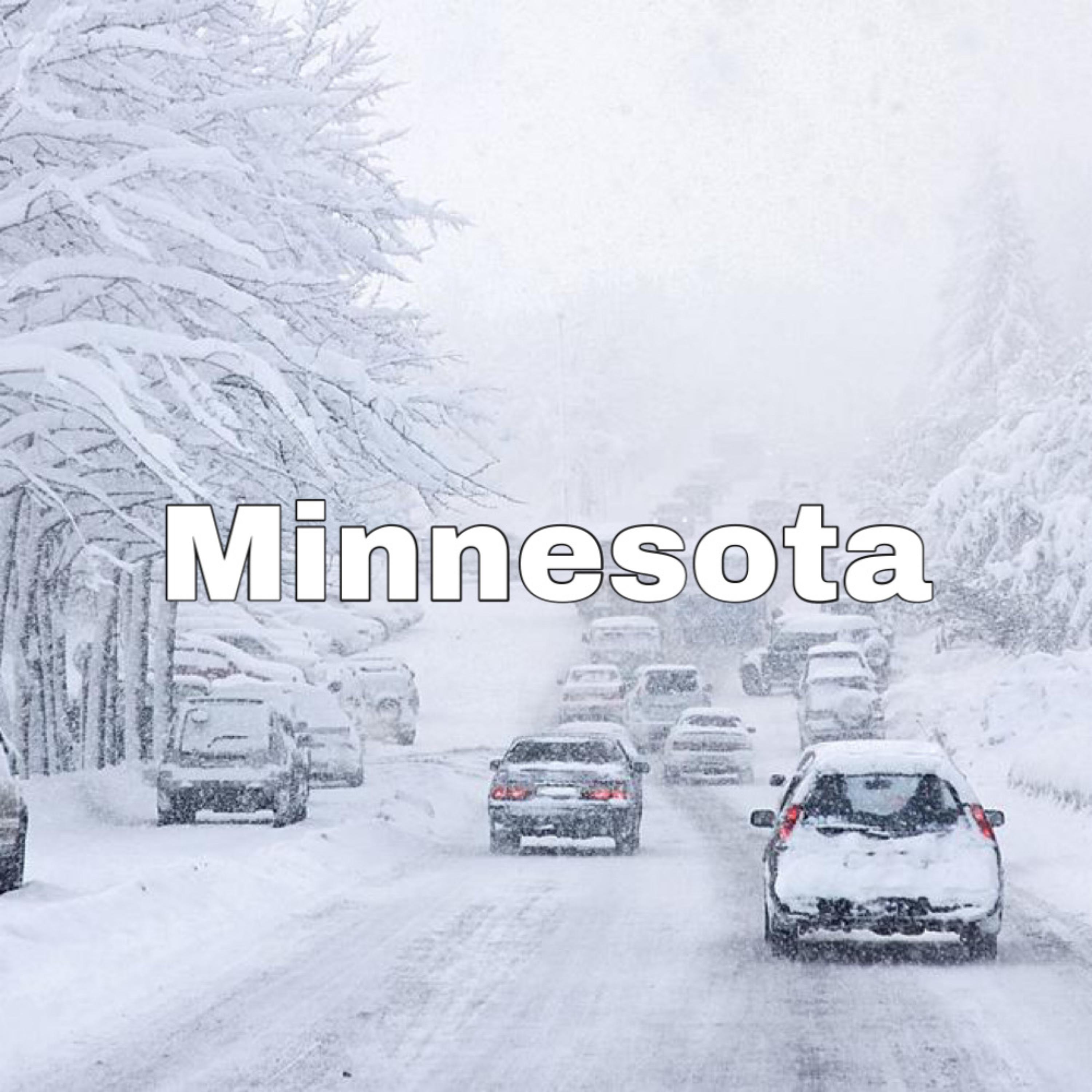 Minnesota artwork