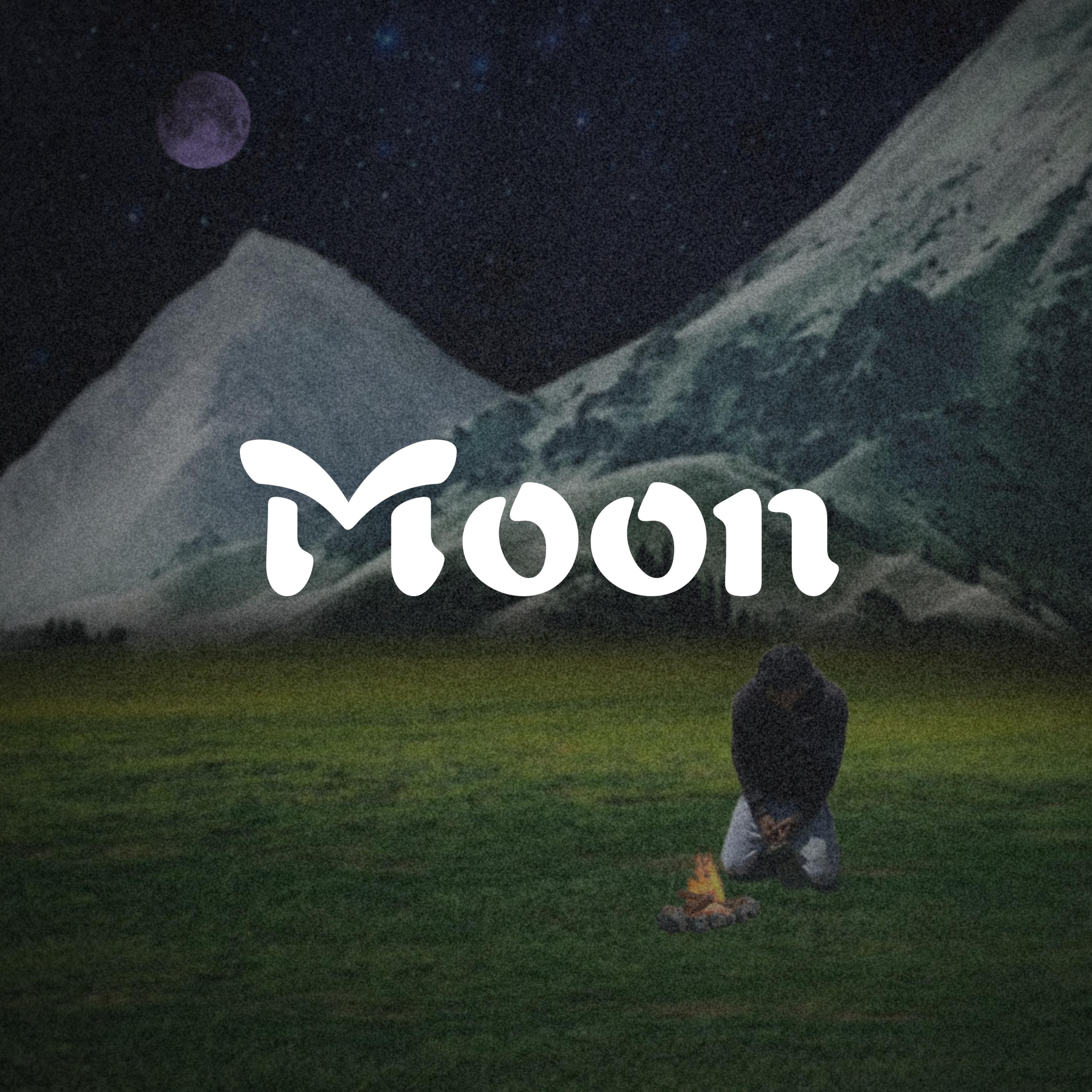 Moon artwork