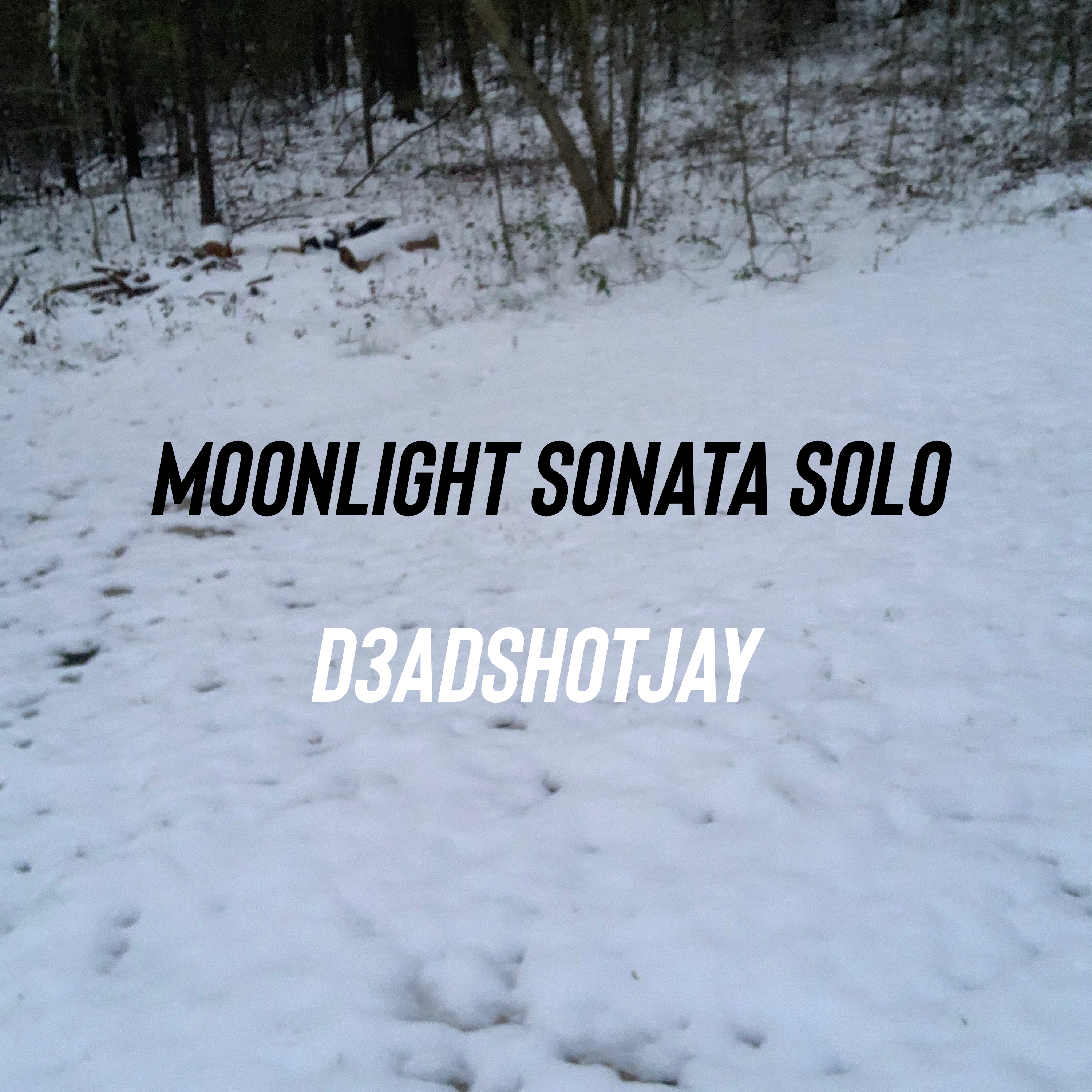 Moonlight Sonata Solo artwork
