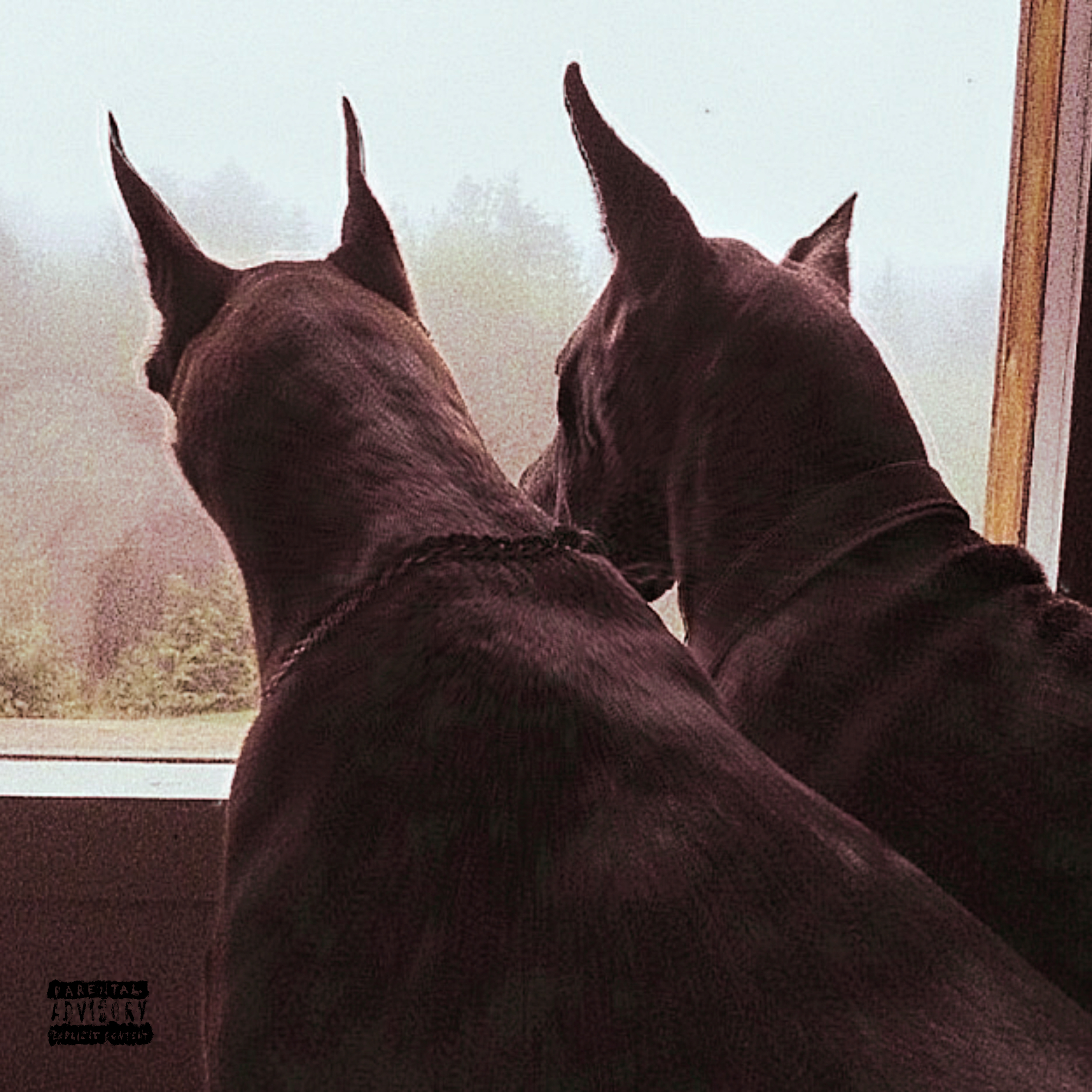 Fooli$hness artwork