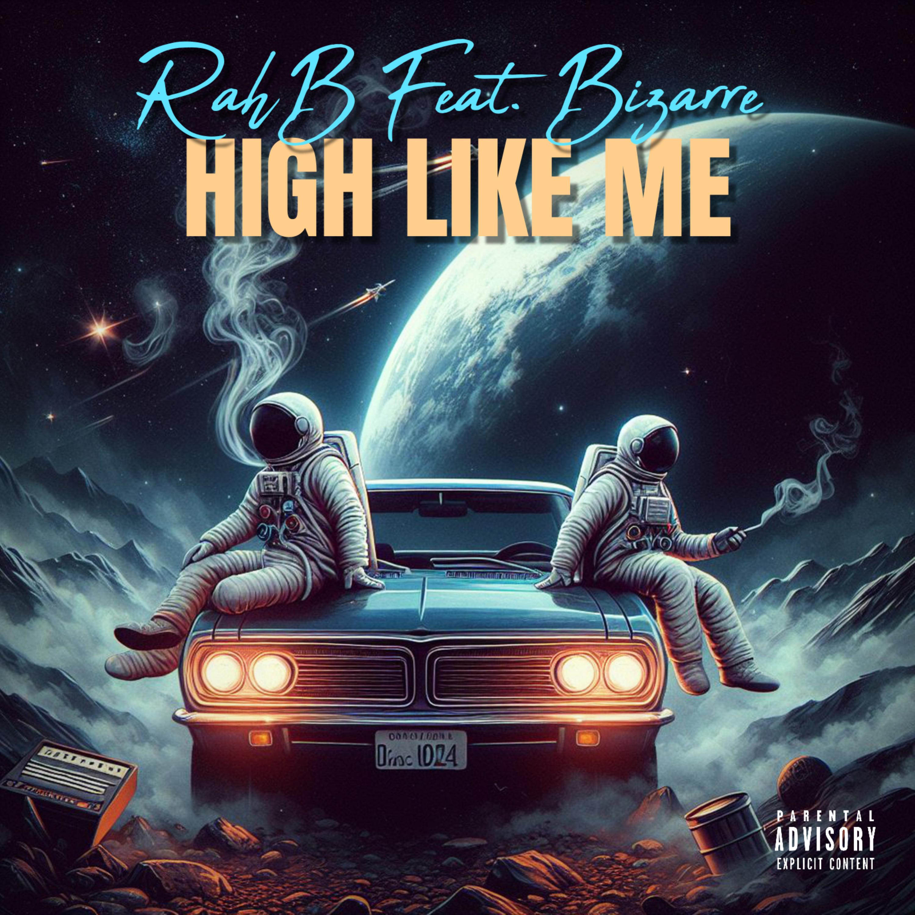 HIGH LIKE ME artwork
