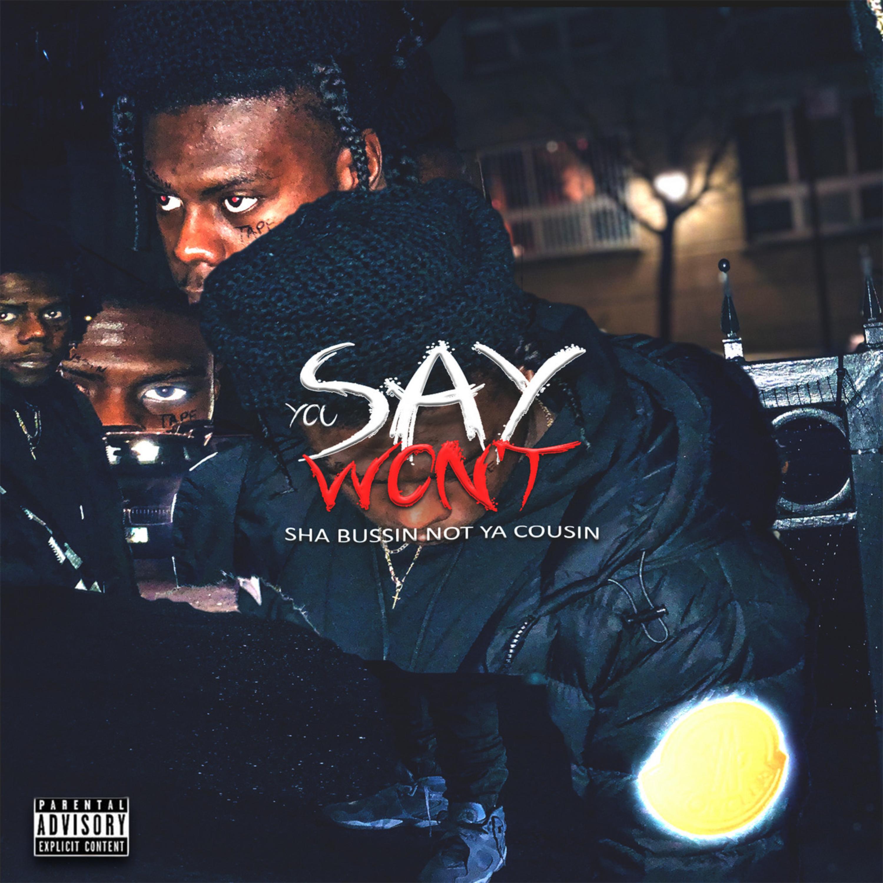 Say You Won't artwork