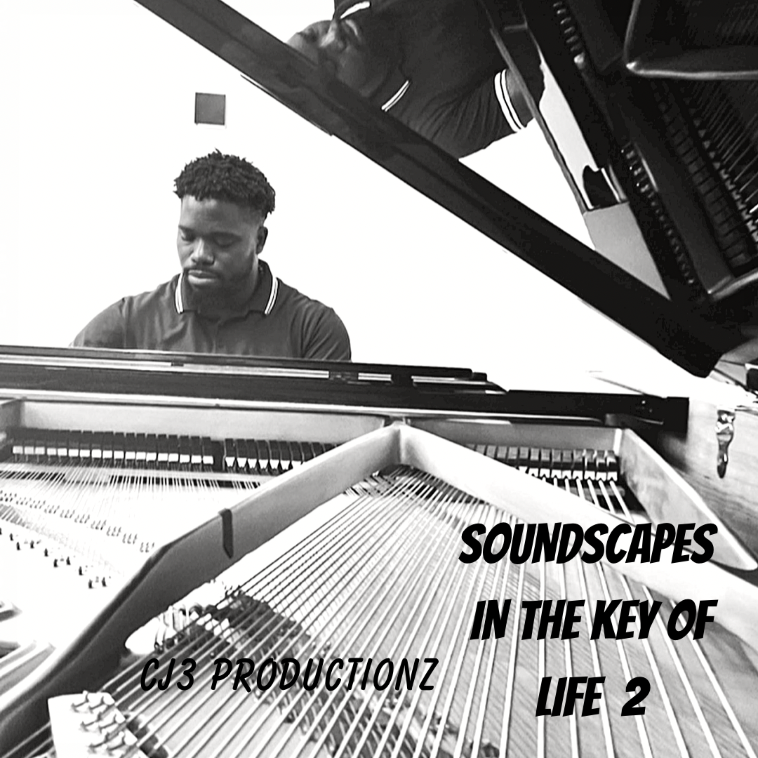 SOUNDSCAPES IN THE KEY OF LIFE  2 artwork