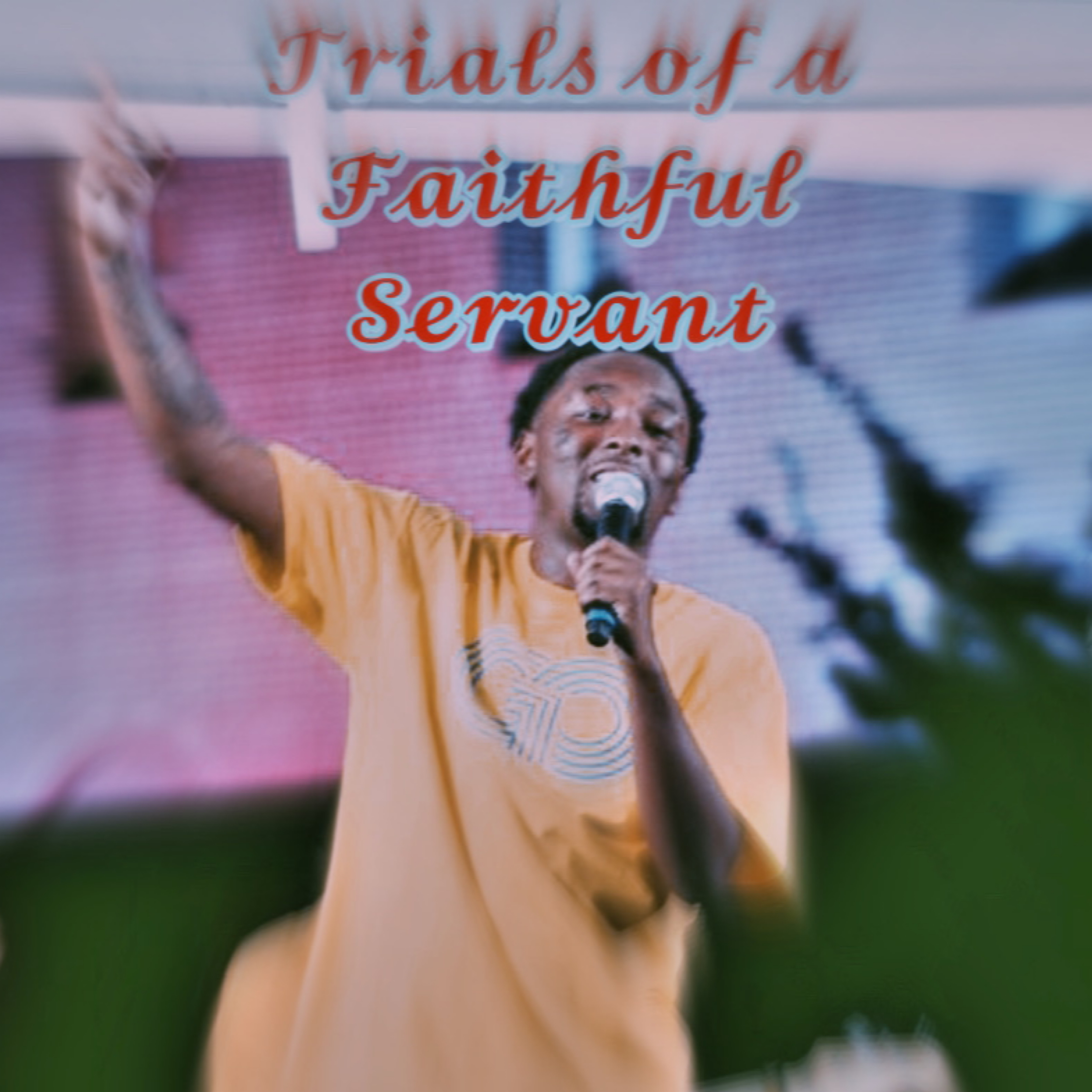 Trials Of A Faithful Servant artwork