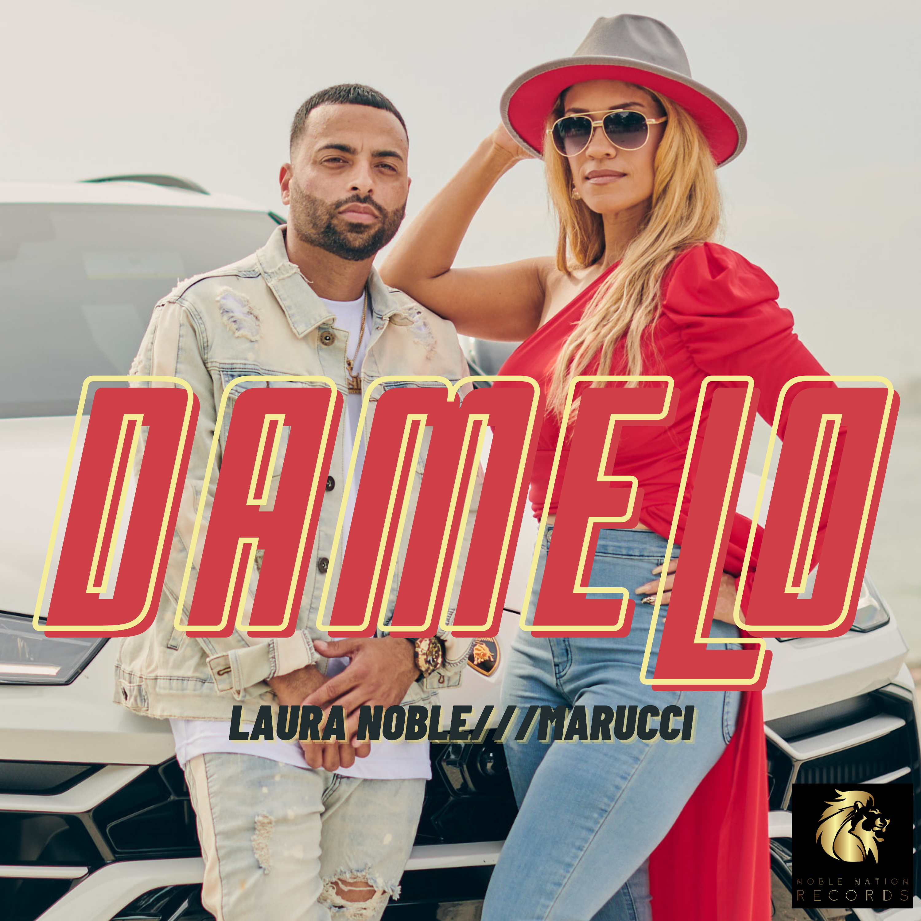 Damelo artwork
